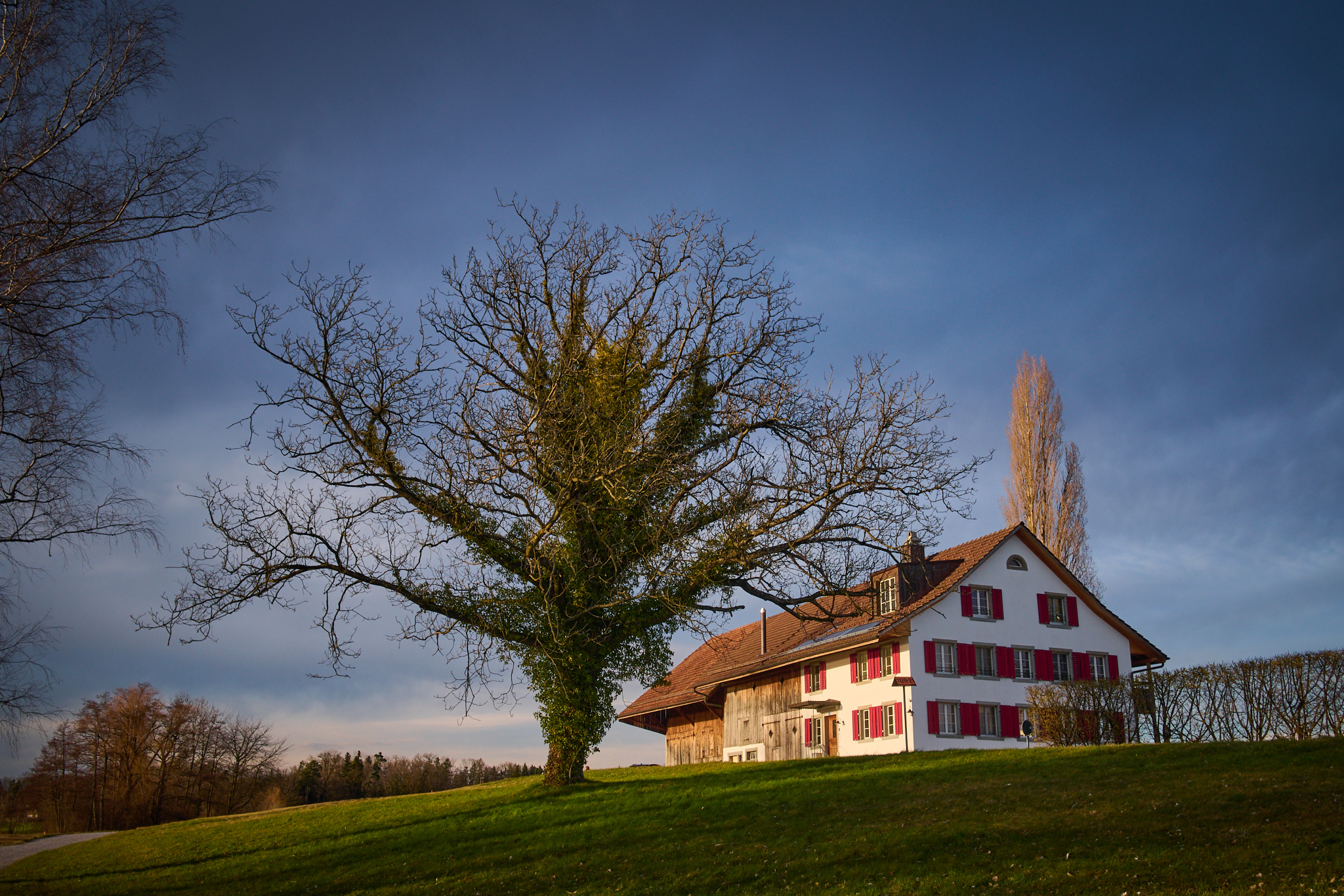 Country side, Switzerland