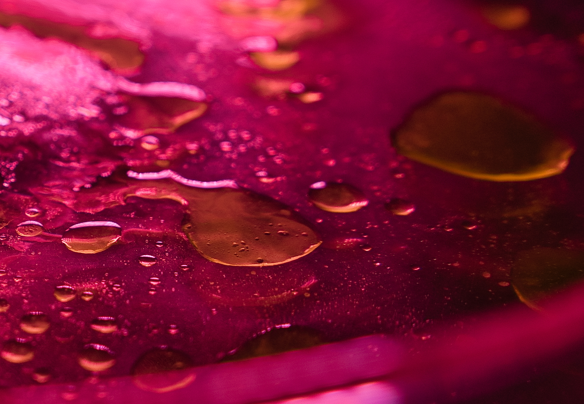 Oil on water