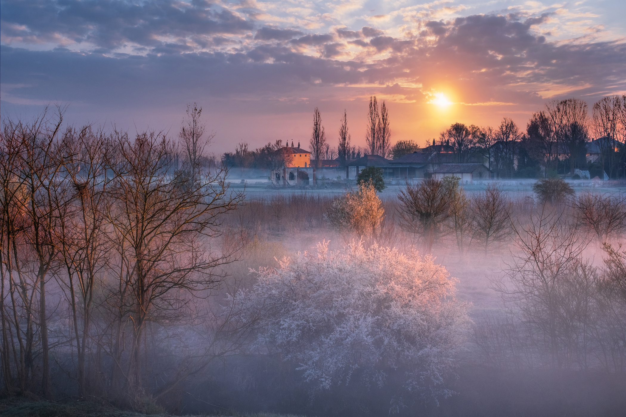 The arrival of spring