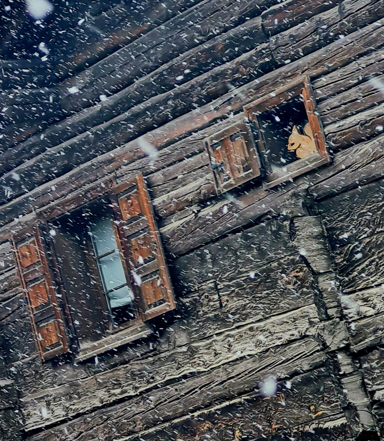 Nevica