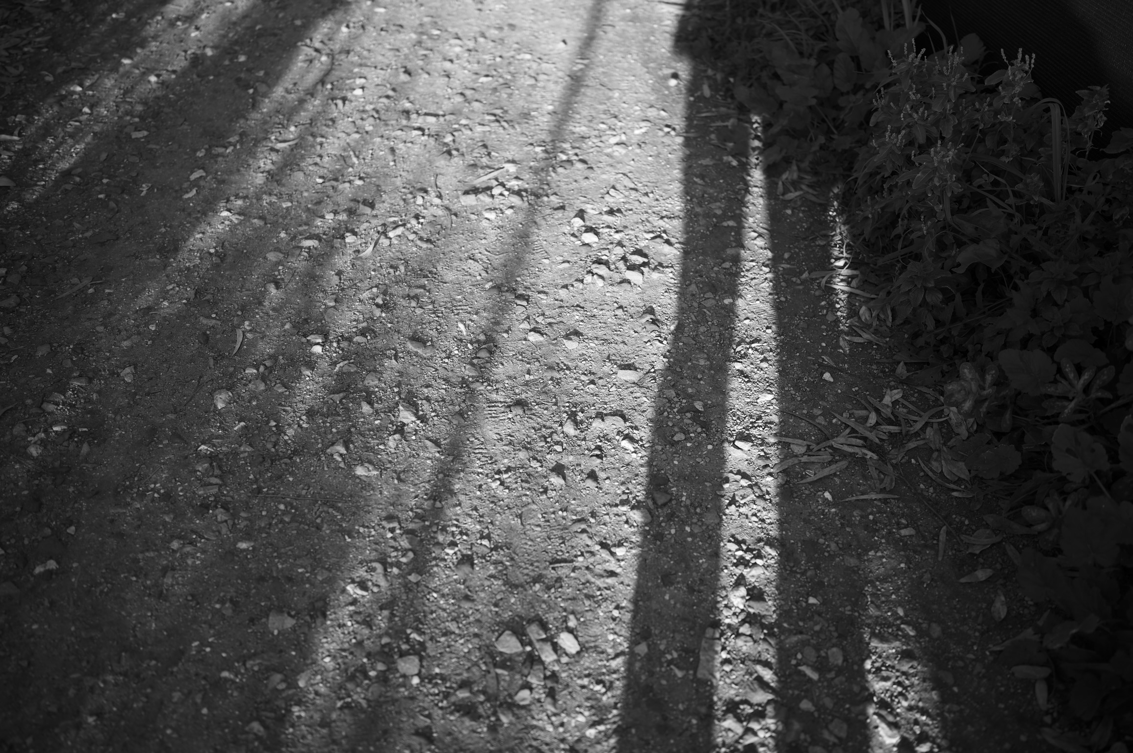 Senza Titolo