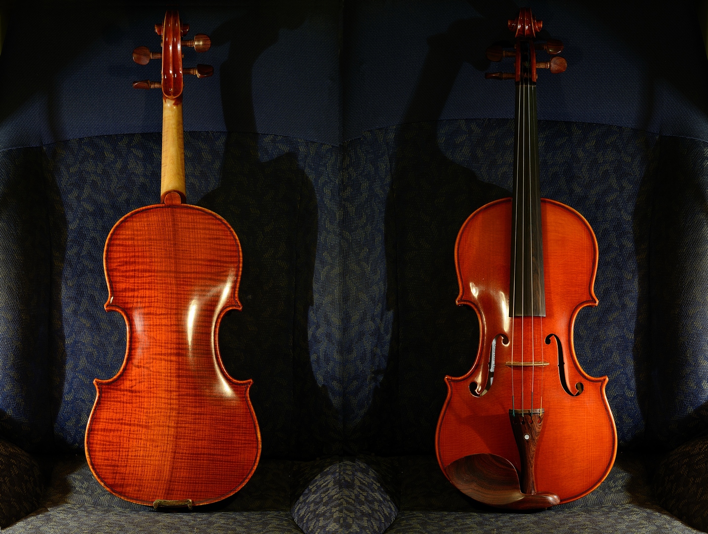 violin