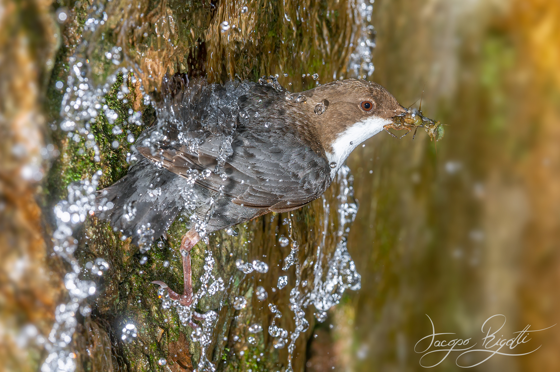 Under the waterfall