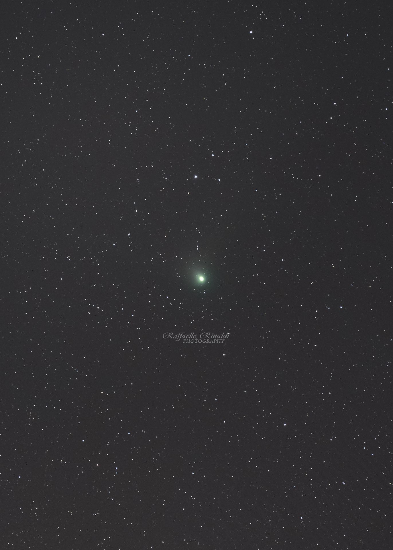 Comata di Neanderthal