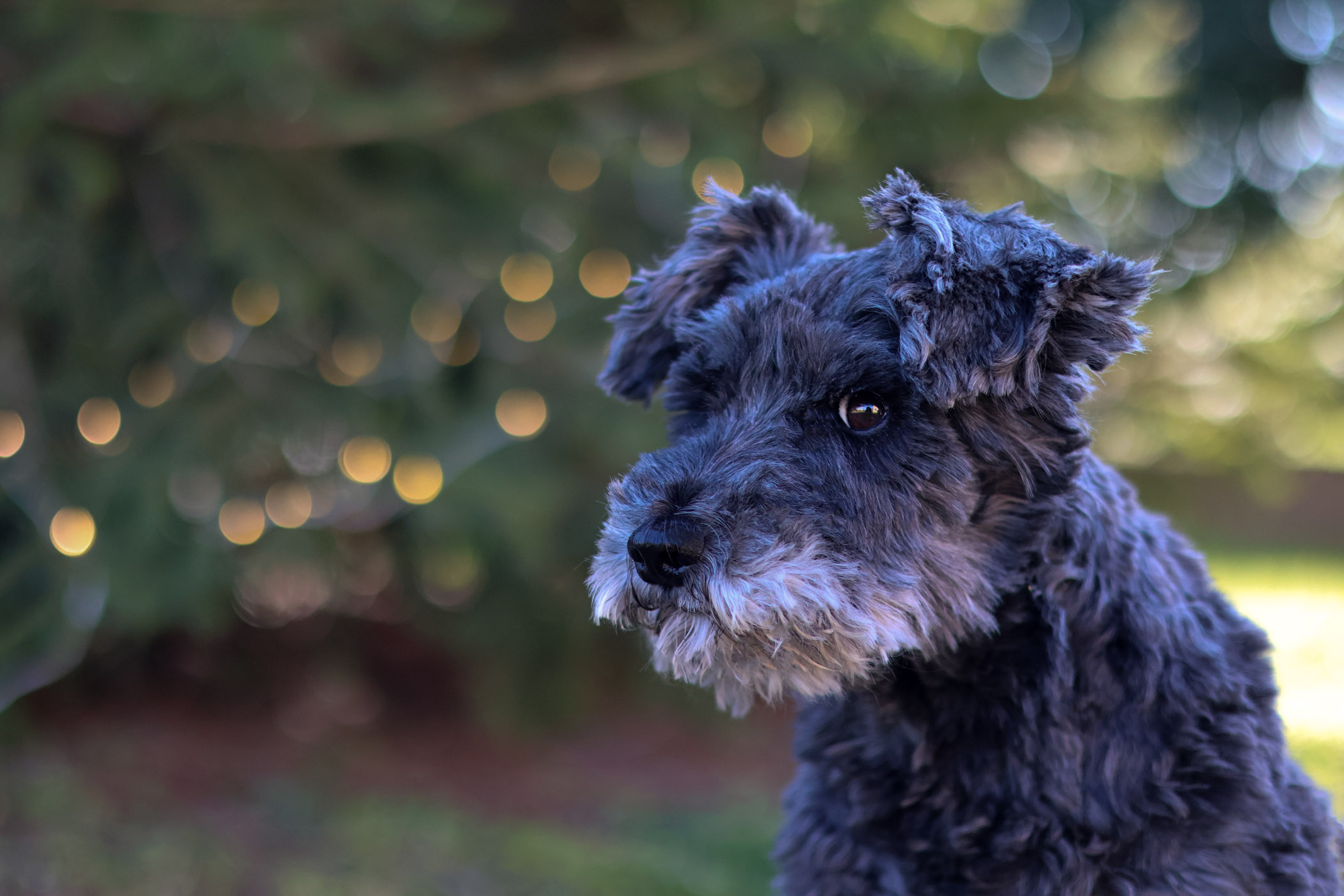 What's Up ? ( aps-c >R )