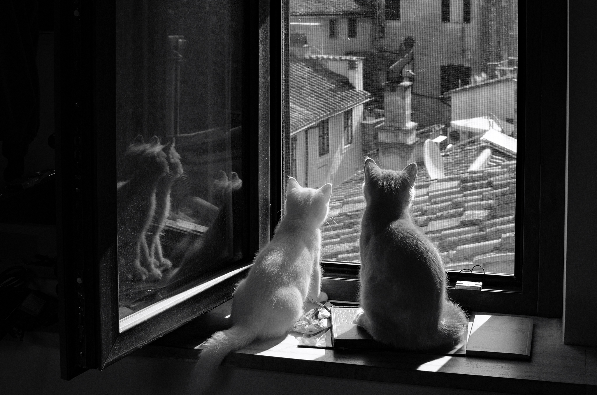 Waltz and Wilson n° 01