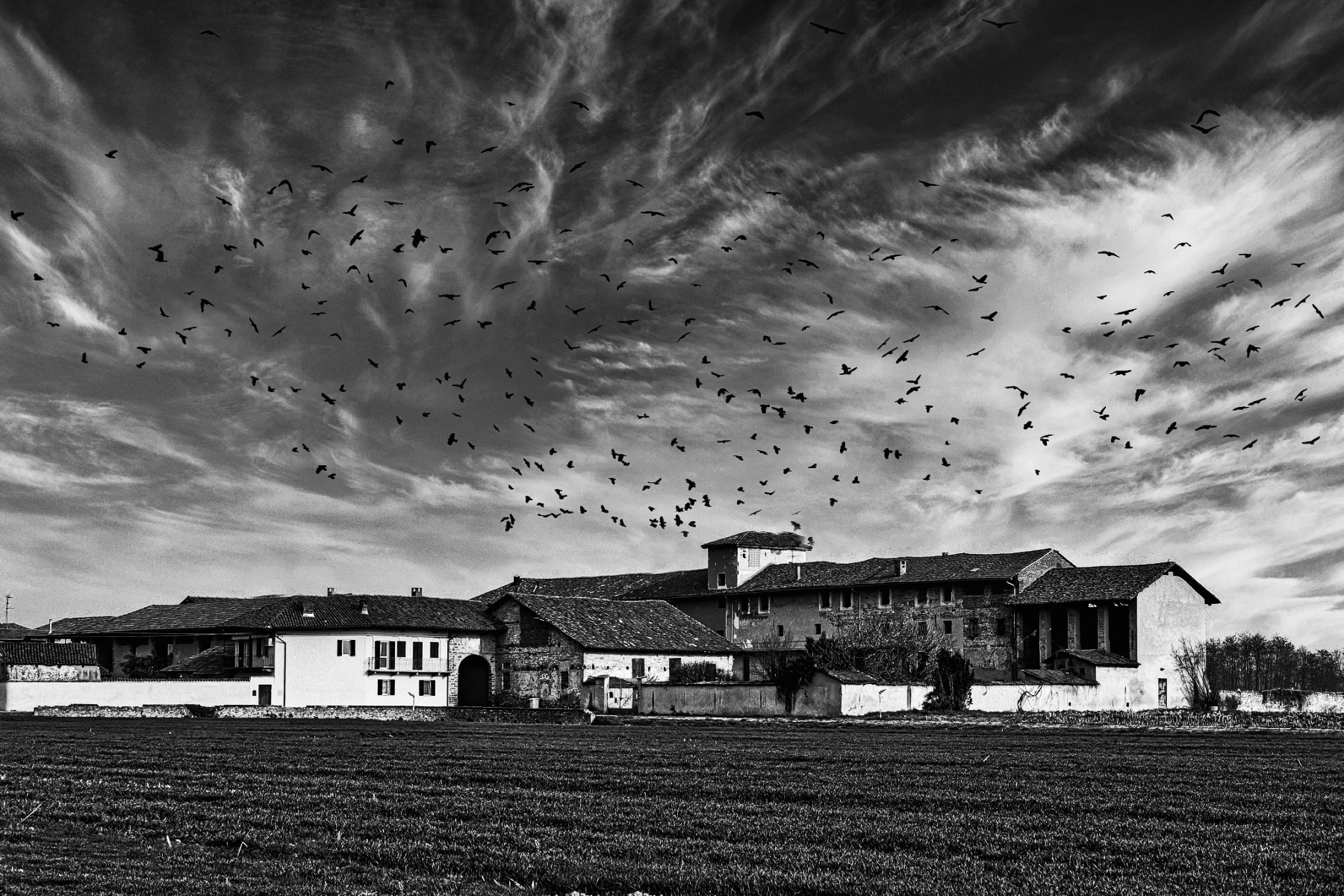 La cascina e lo stormo