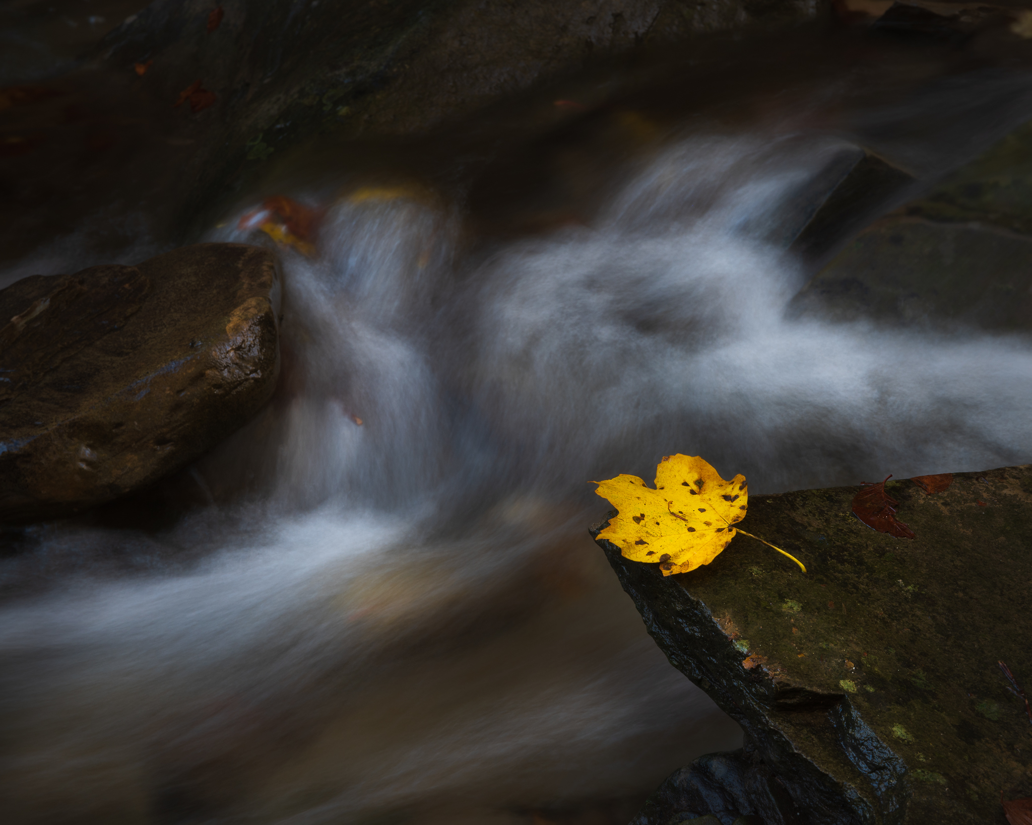 Dettaglio alle Tre Cascate