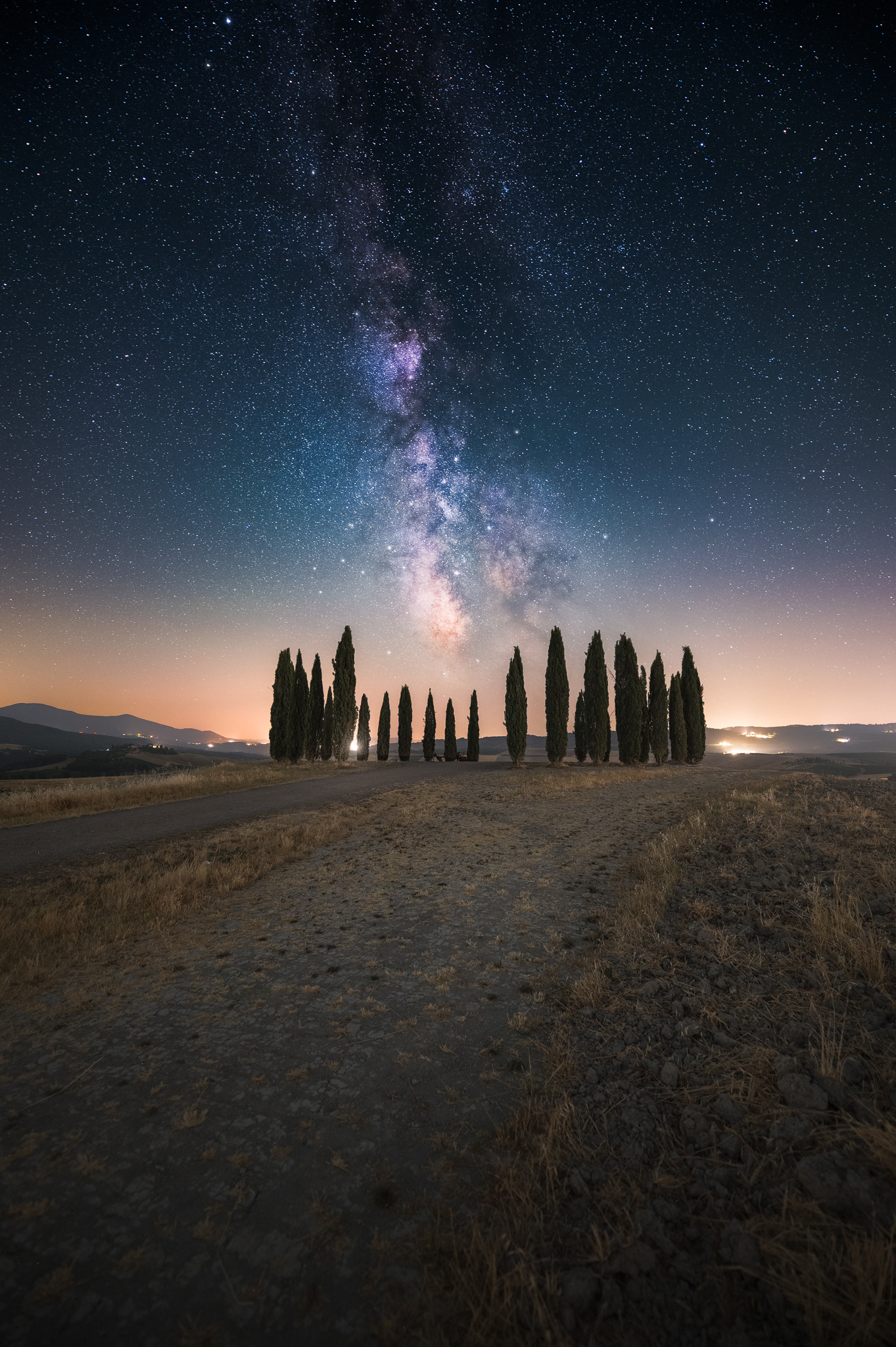 I cipressi sotto le stelle