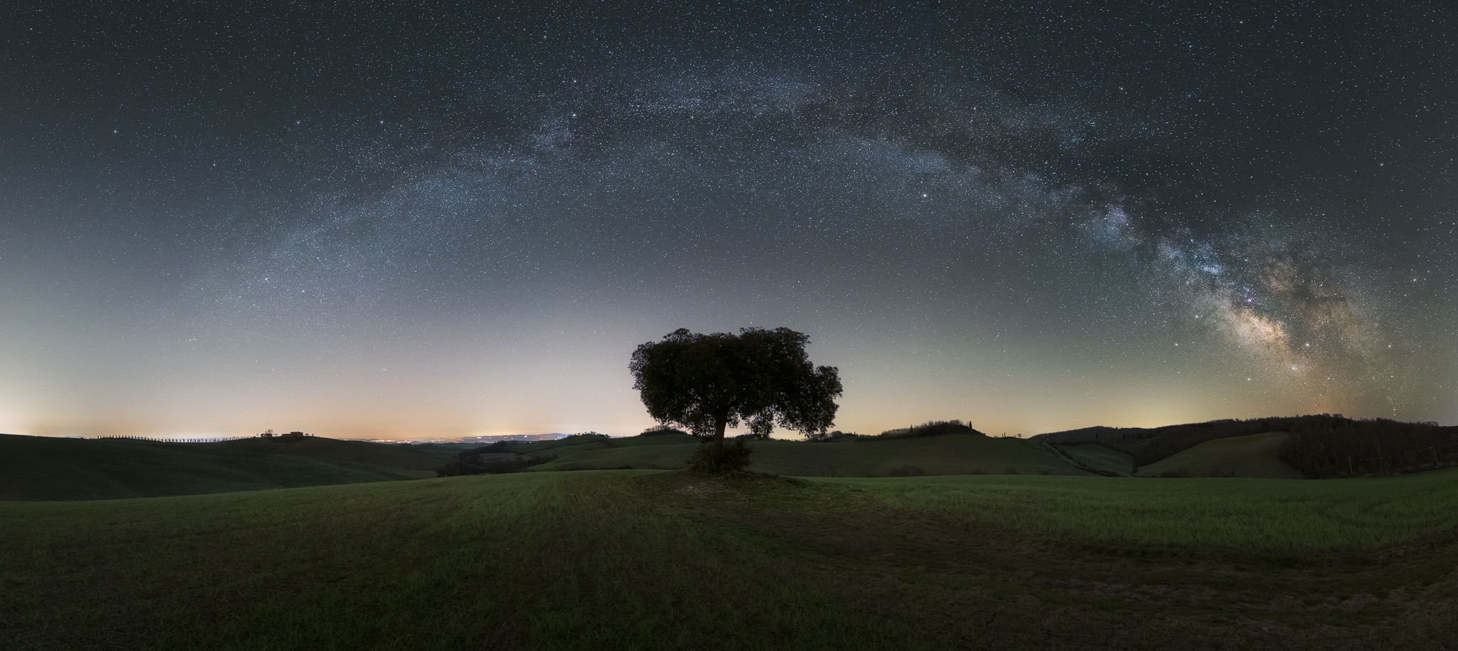 L'arco sopra il leccio solitario