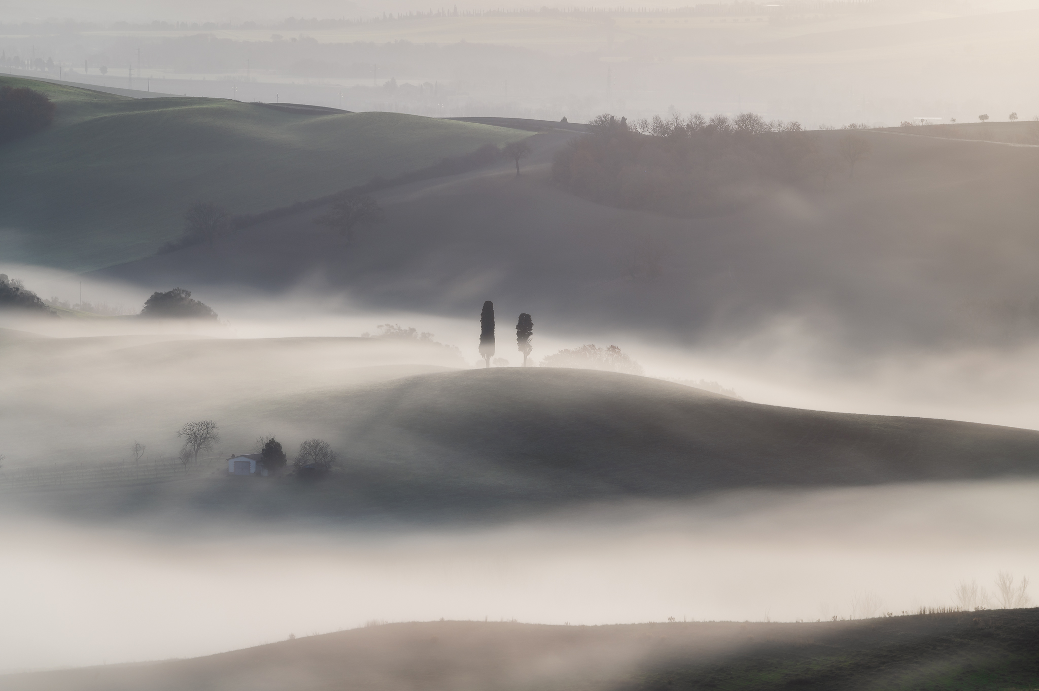 I Cipressini sulla collina