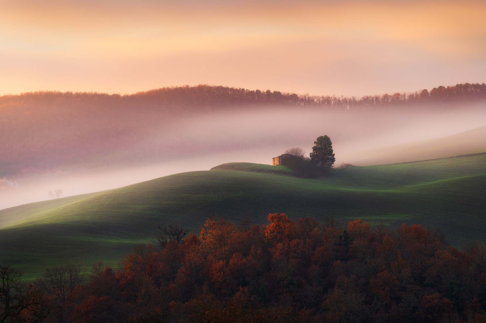 Luce e nebbia in Val d'Orcia