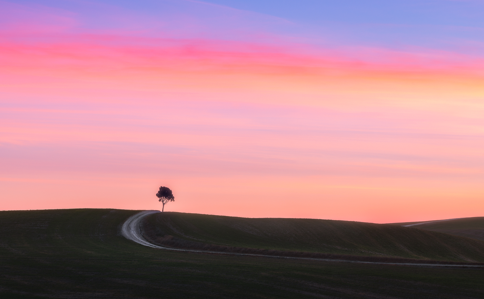 Crazy alpa on the Crete