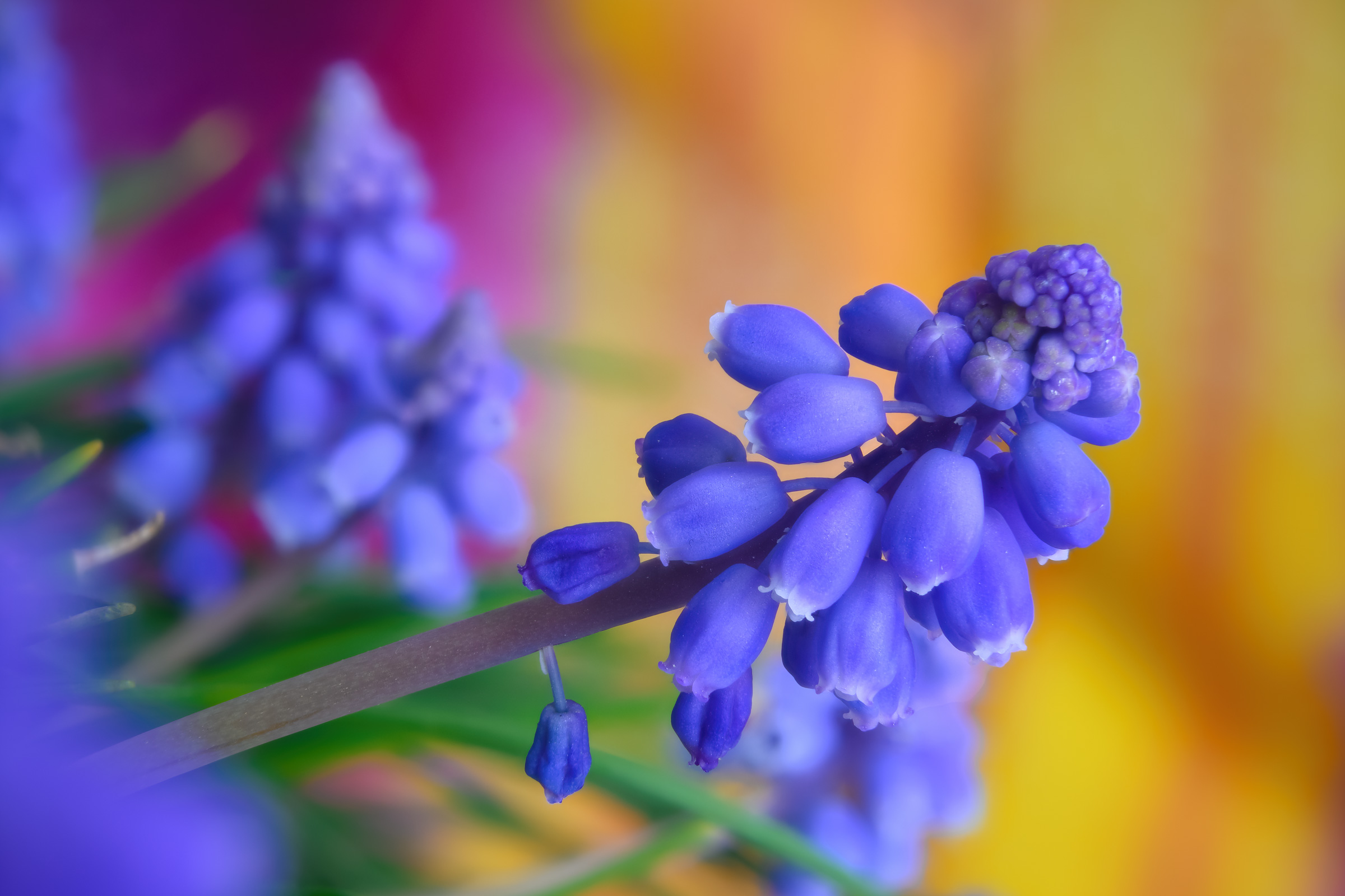 Untitled Photo
