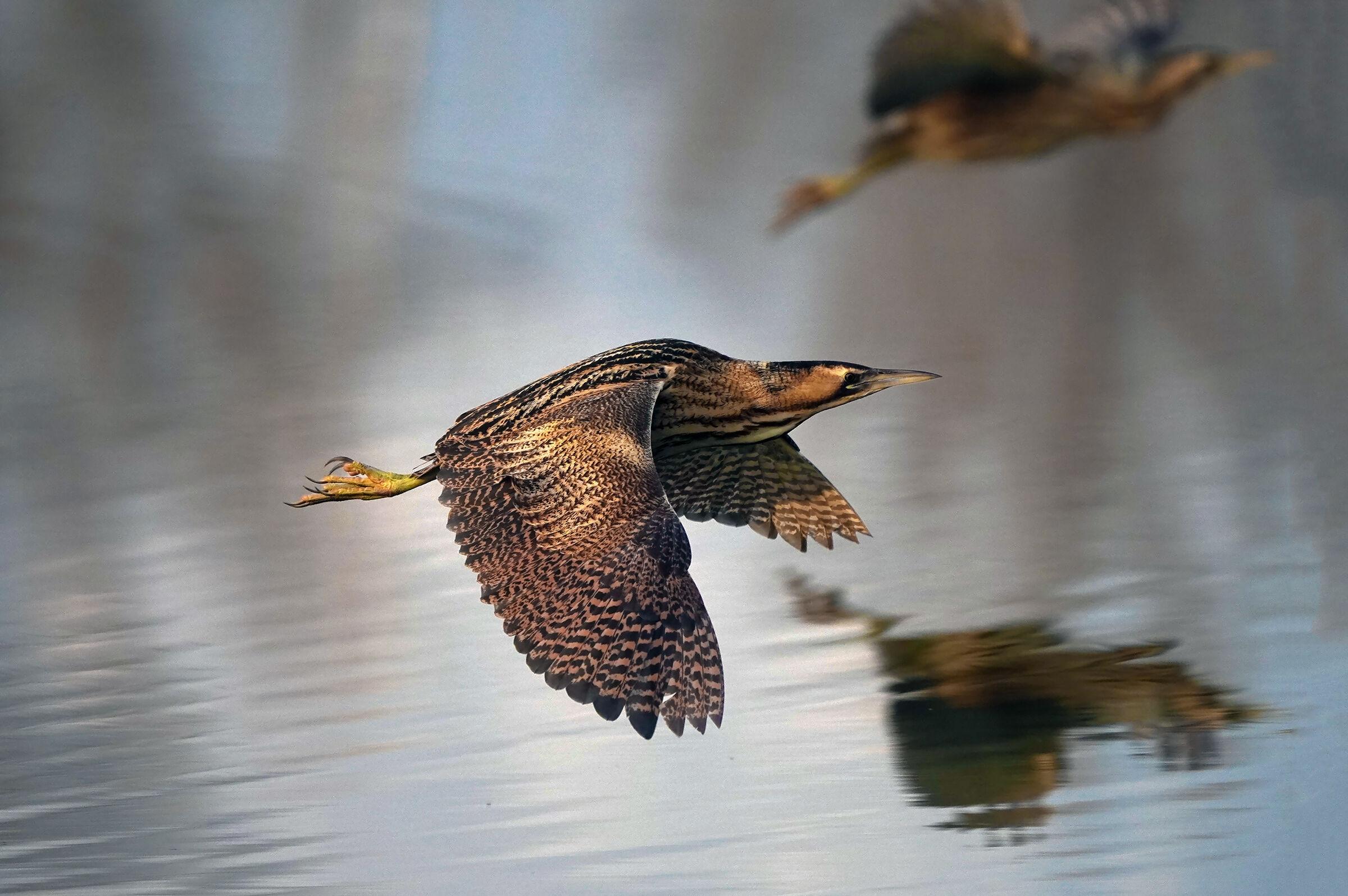 Couple flight