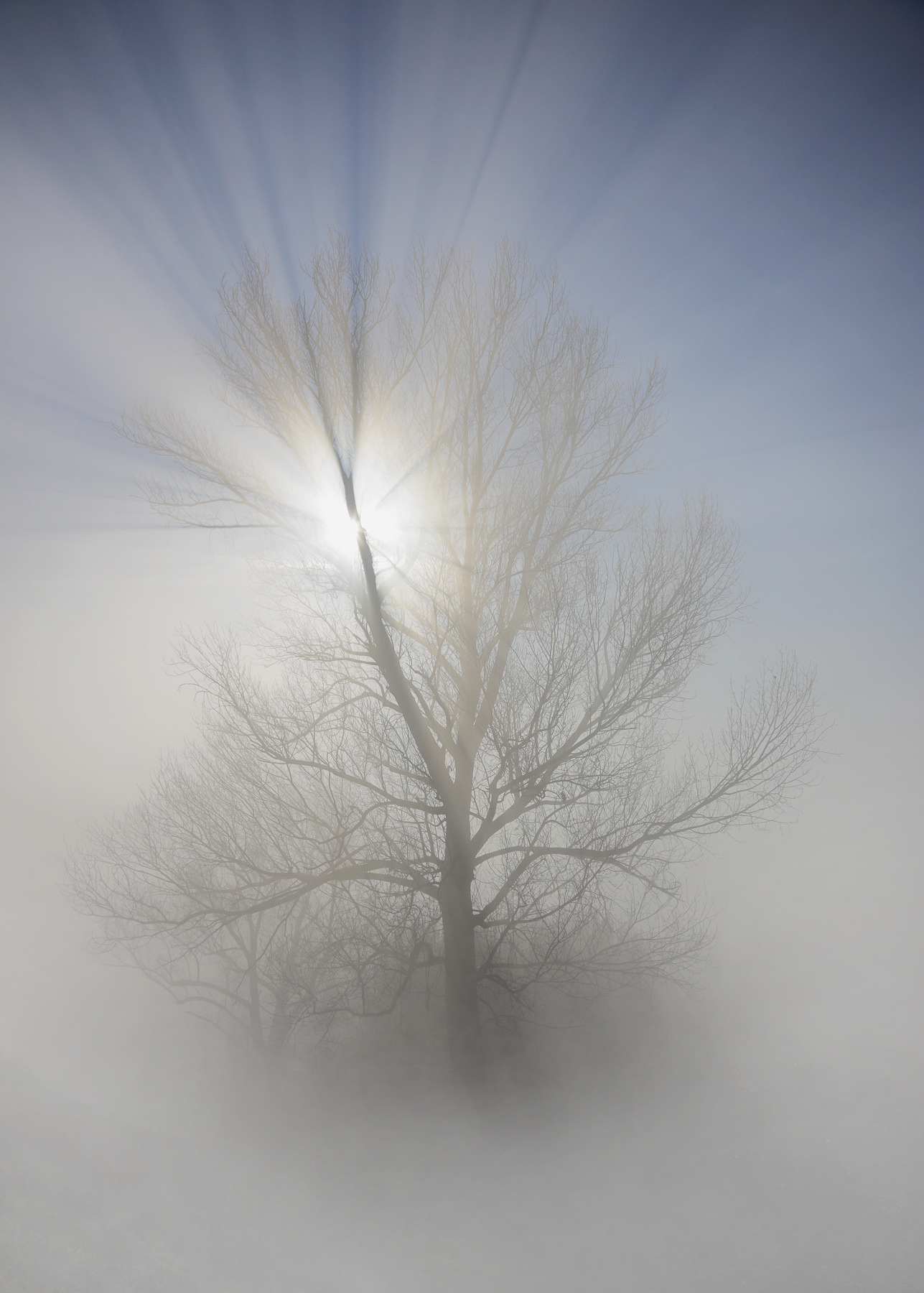 Light and fog