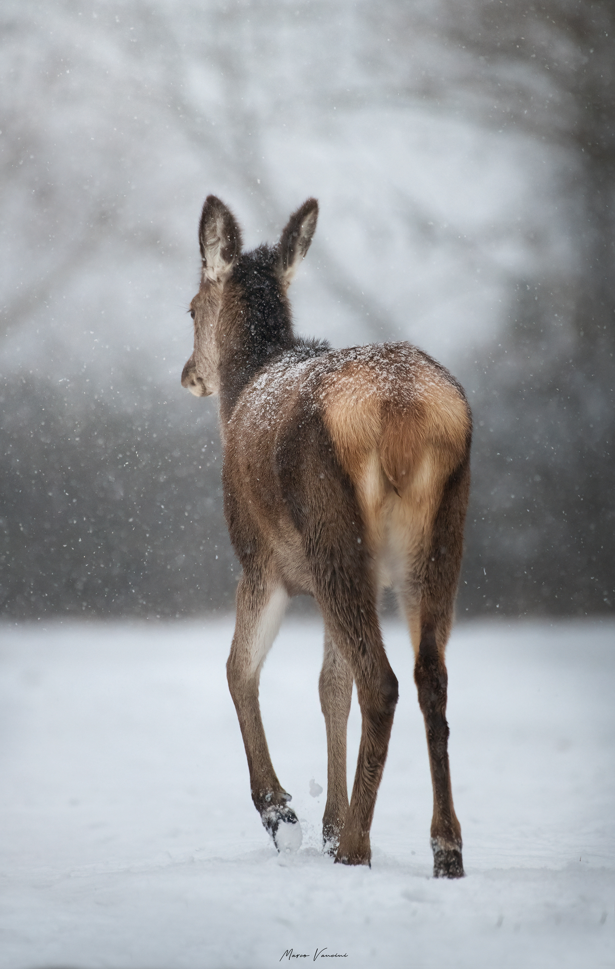 walking in the storm
