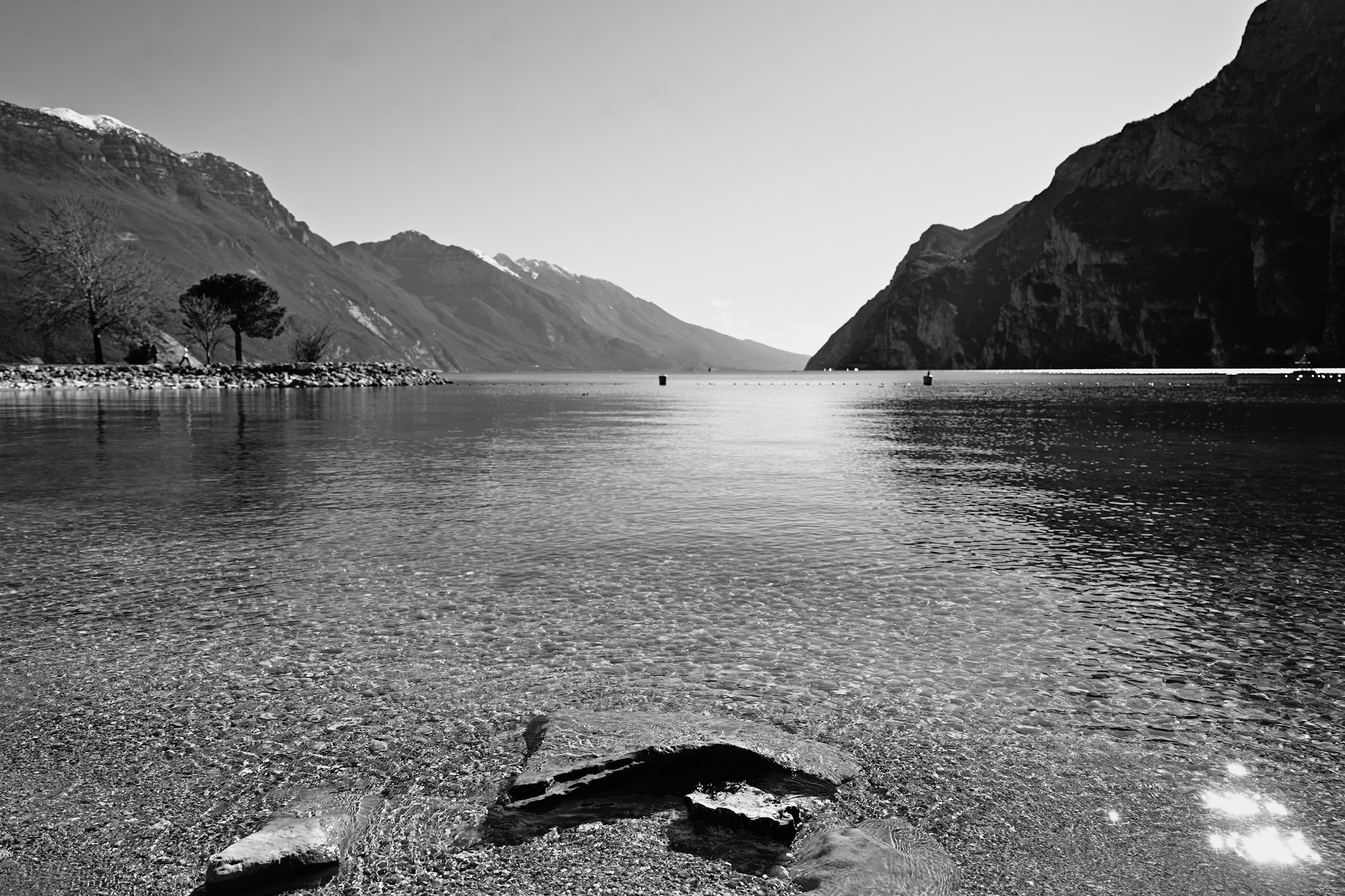 Untitled Photo