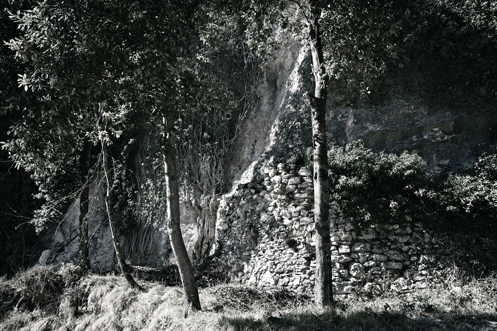 Untitled Photo