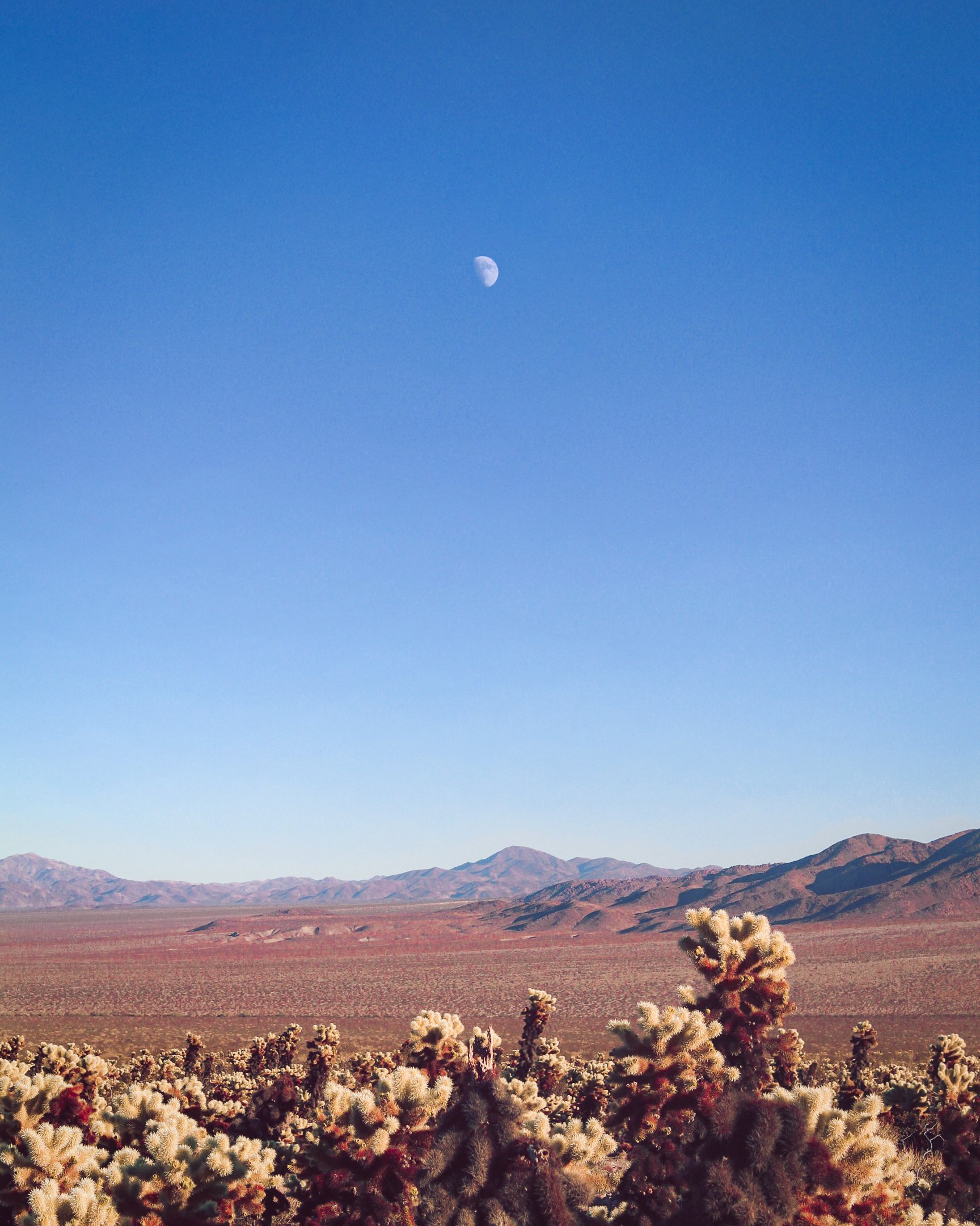 Moon over the Desert