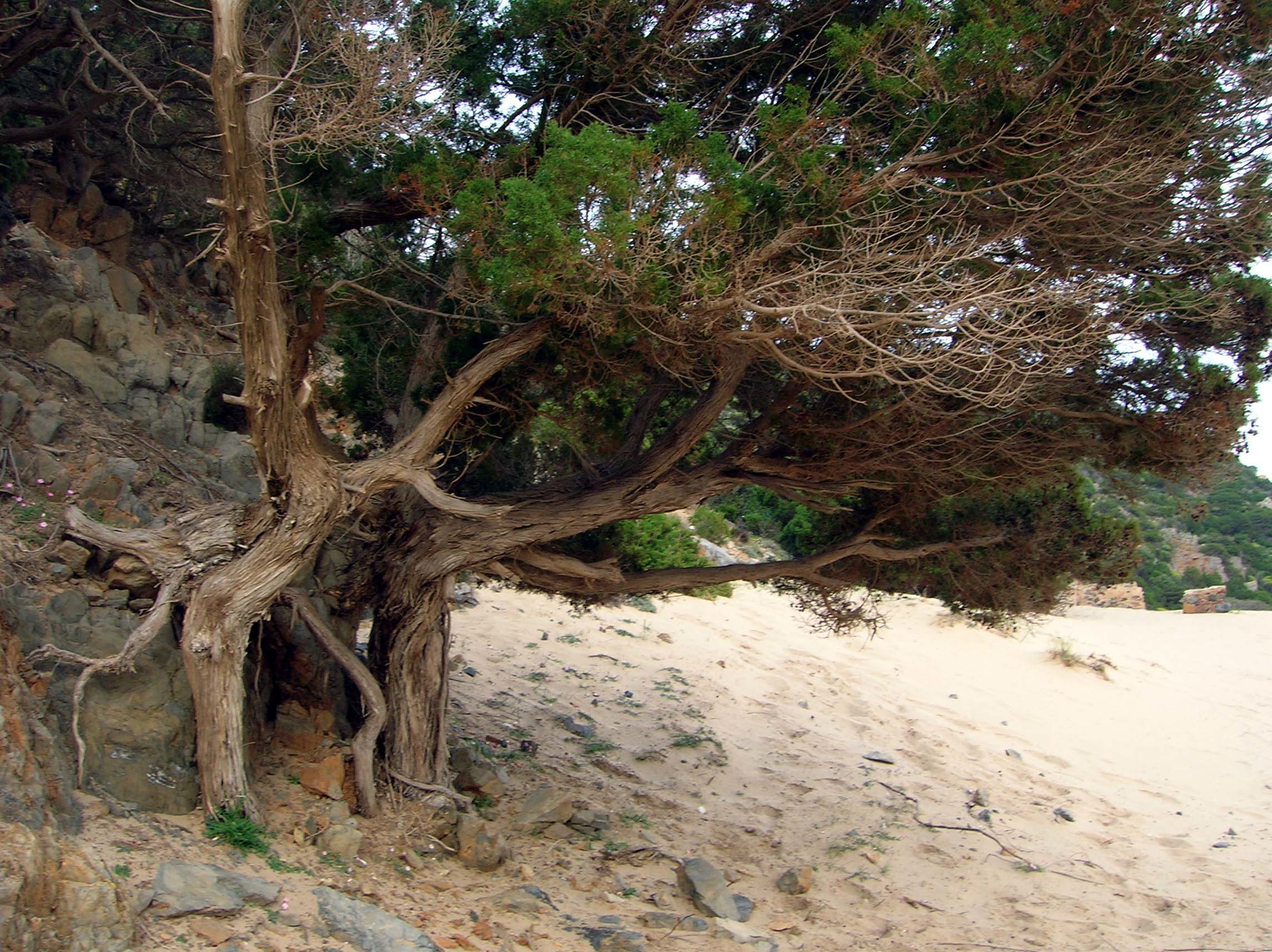 Masua,Sardinia