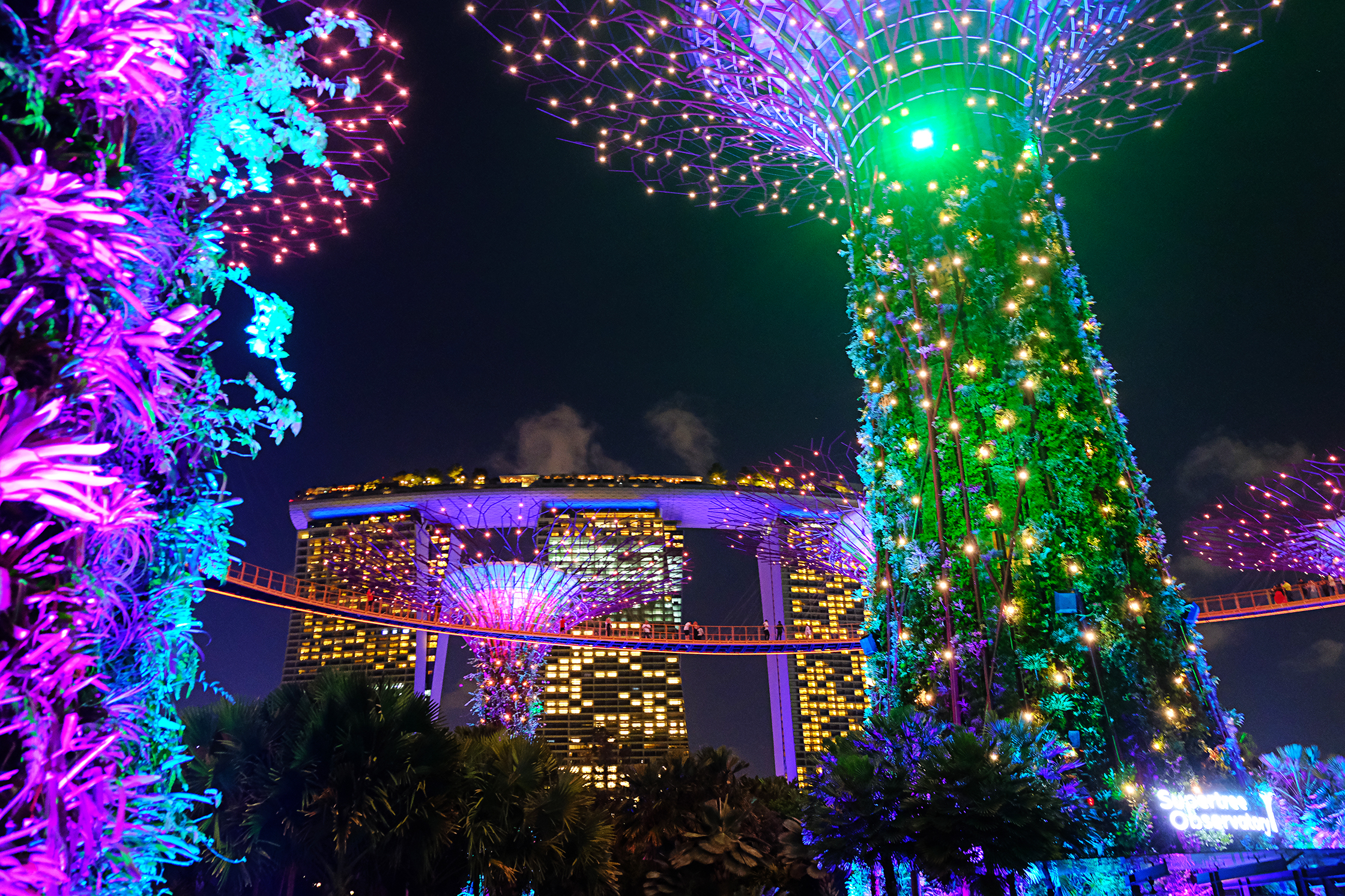 lo spettacolo serale