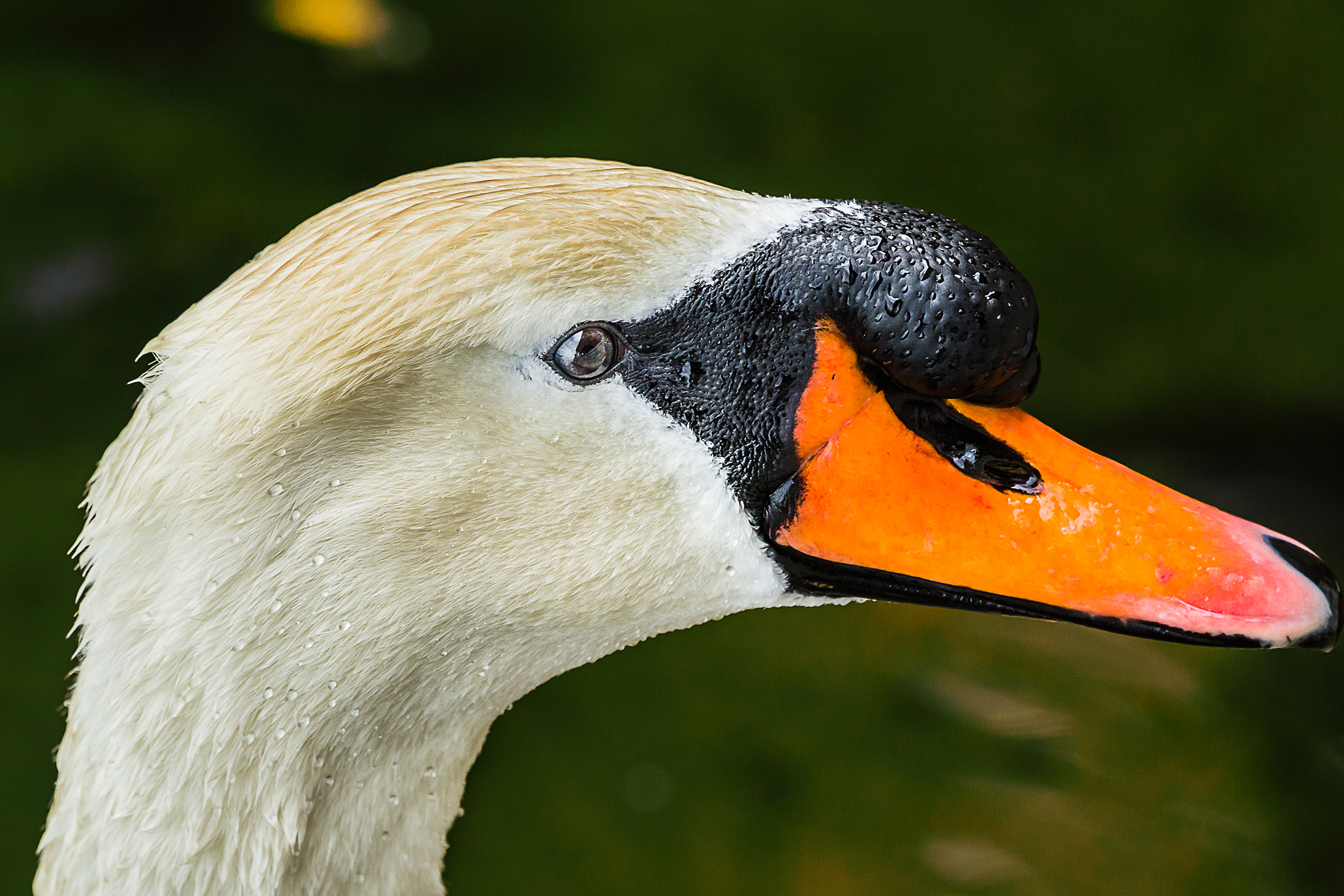 A first floor in ...