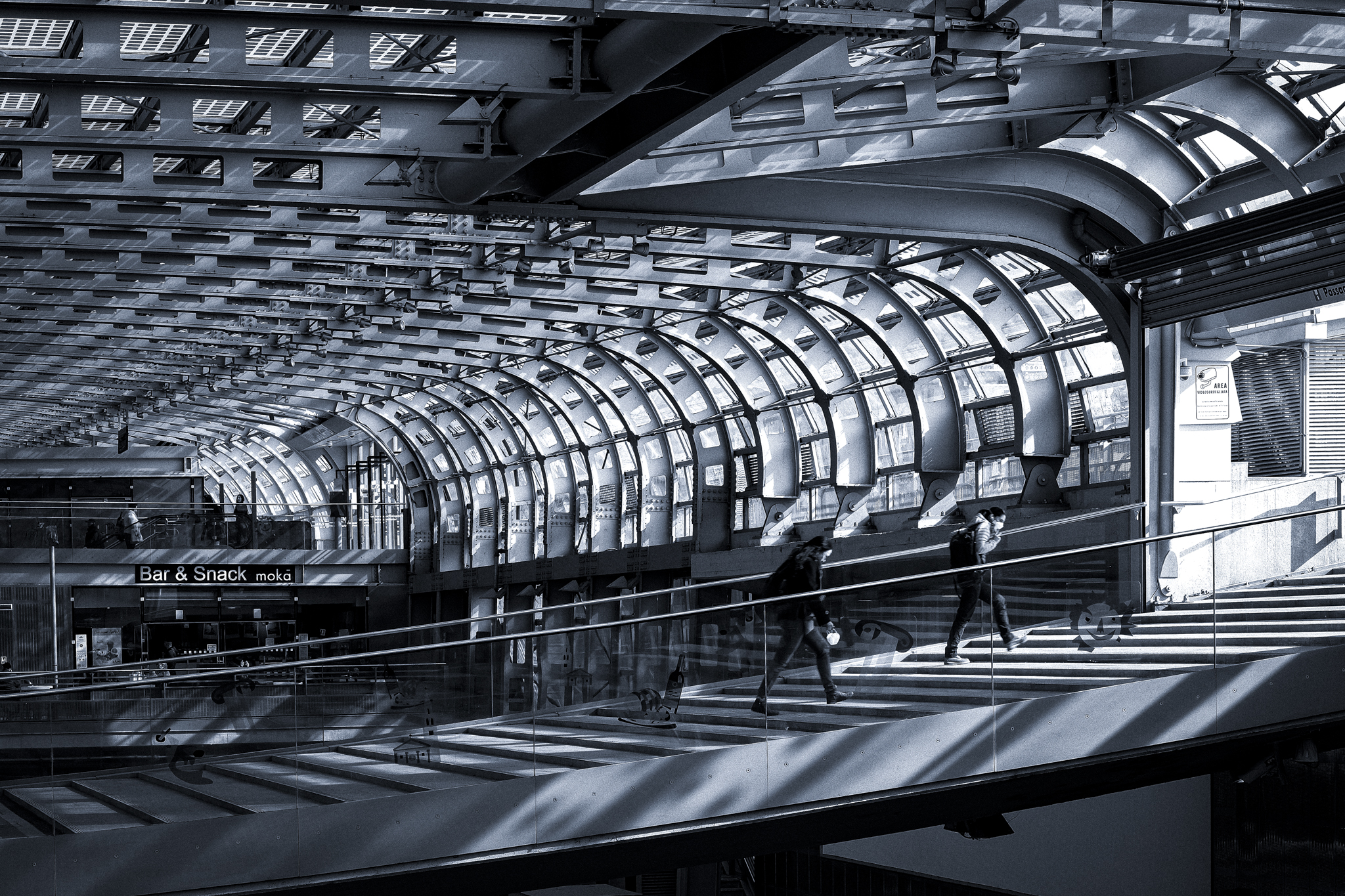 The charm of the cage