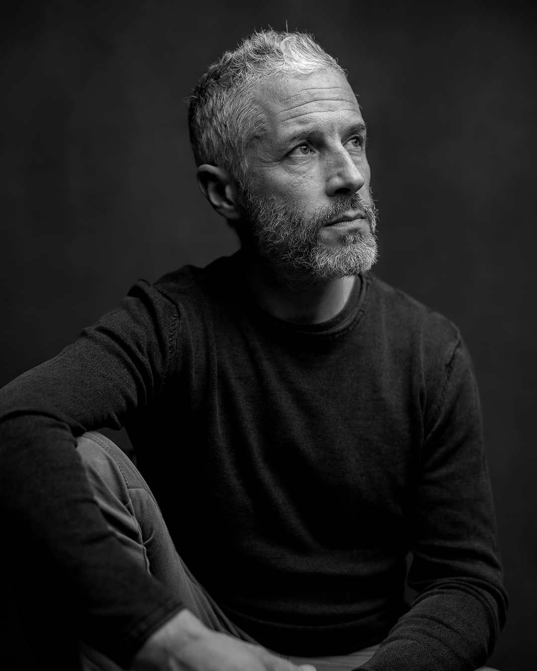 The Grey