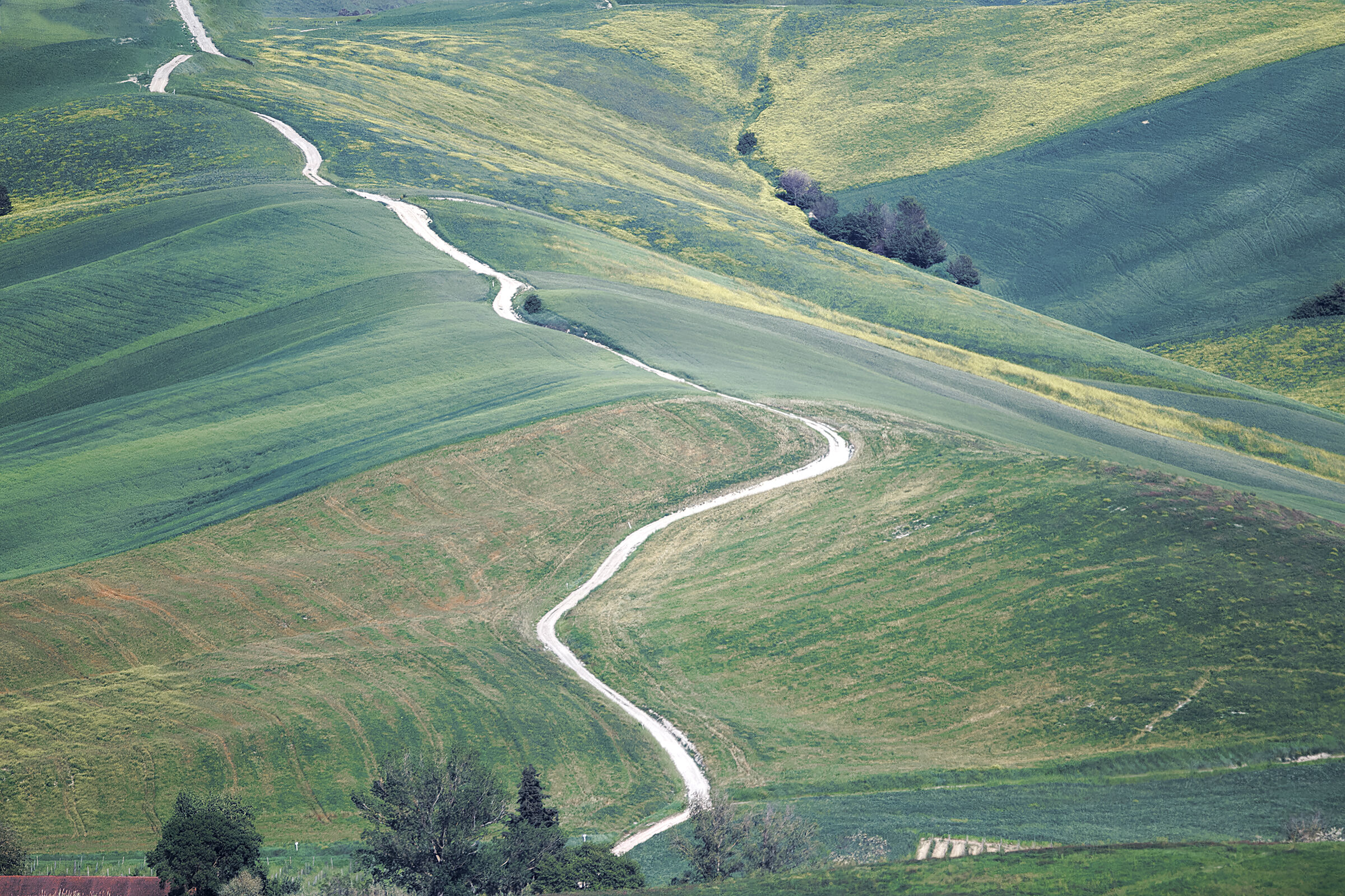campagna toscana