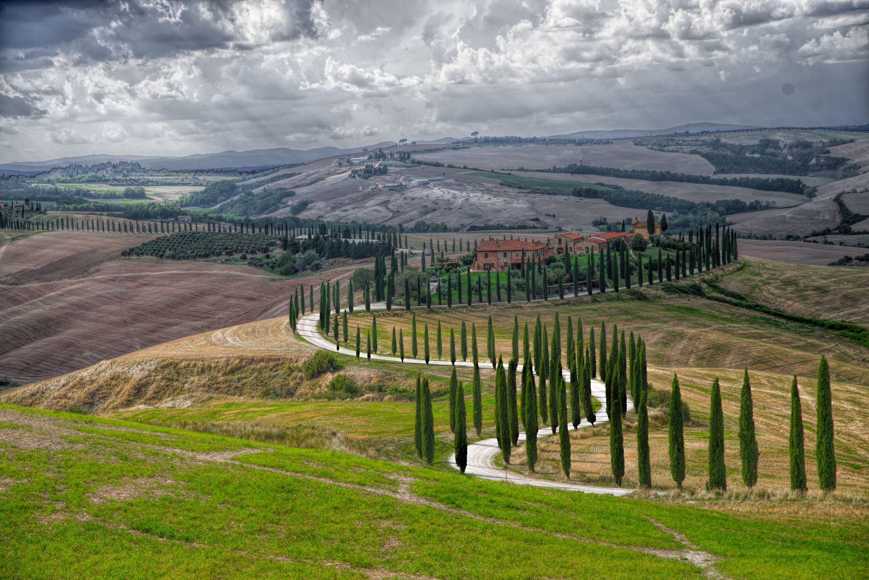 Sigma di cipressi