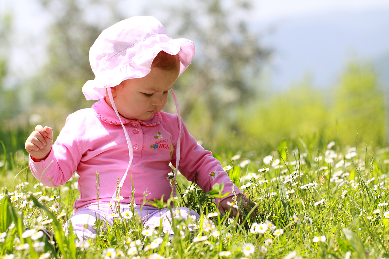 Ohh quante margerite!