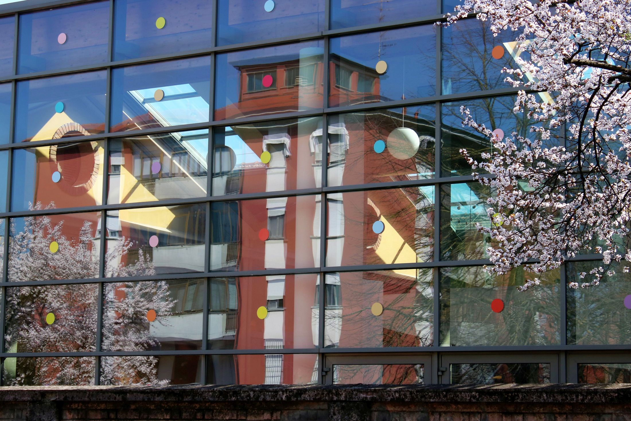 Riflesso di primavera