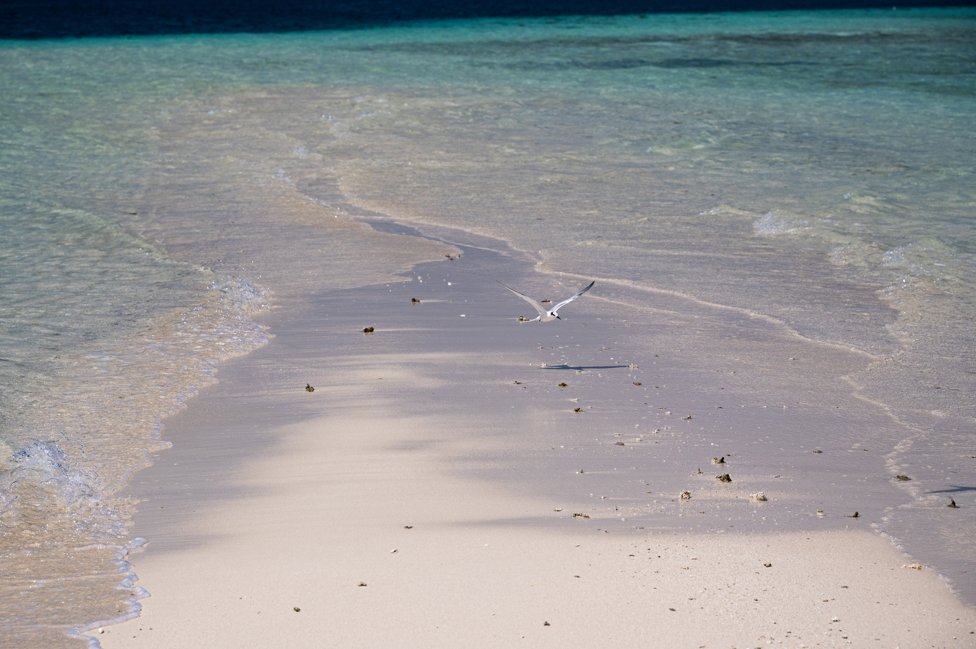 Alla fine della lingua di sabbia