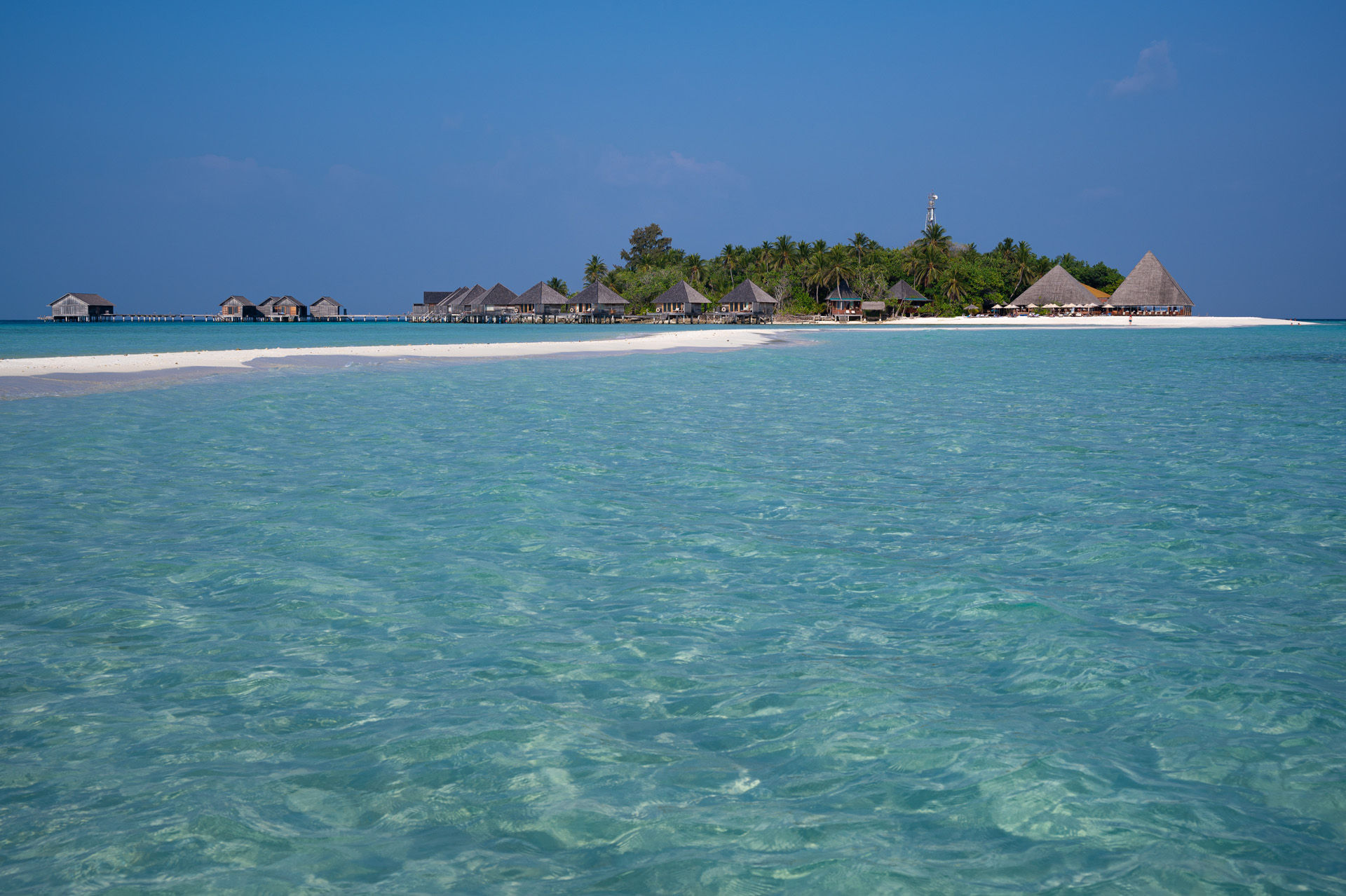 L'isola dalla laguna