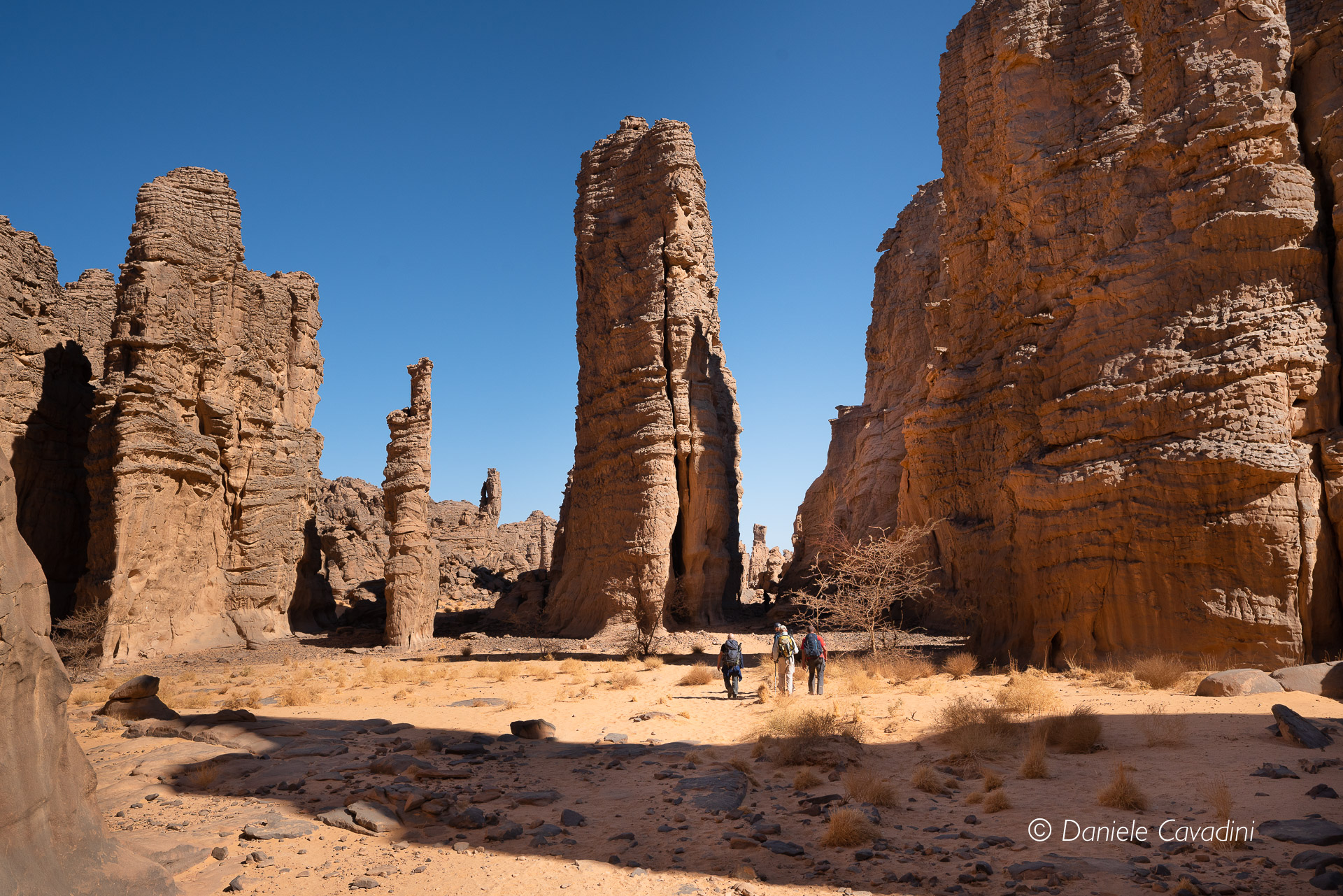 Gole di Tamrit - Tassili