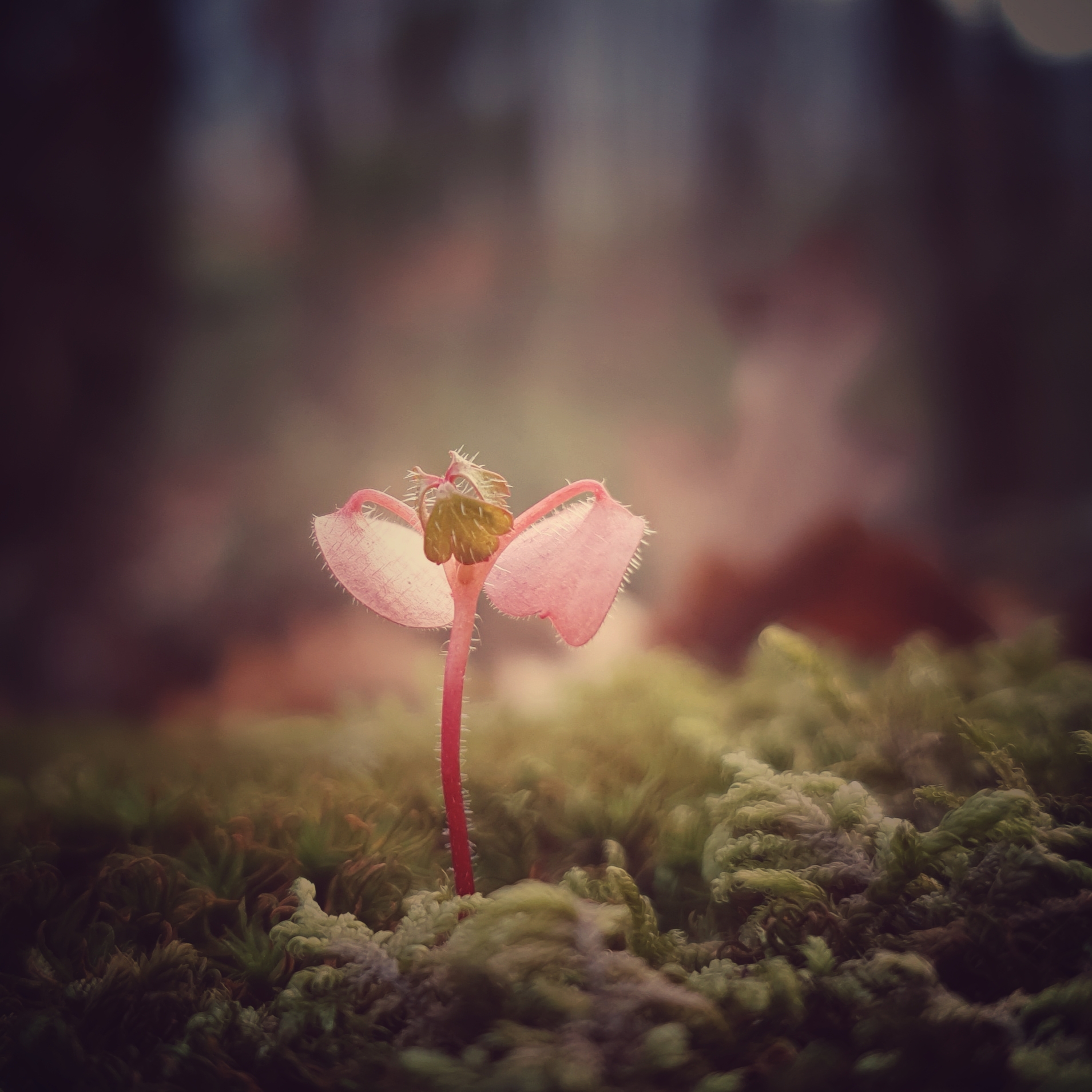 Untitled Photo