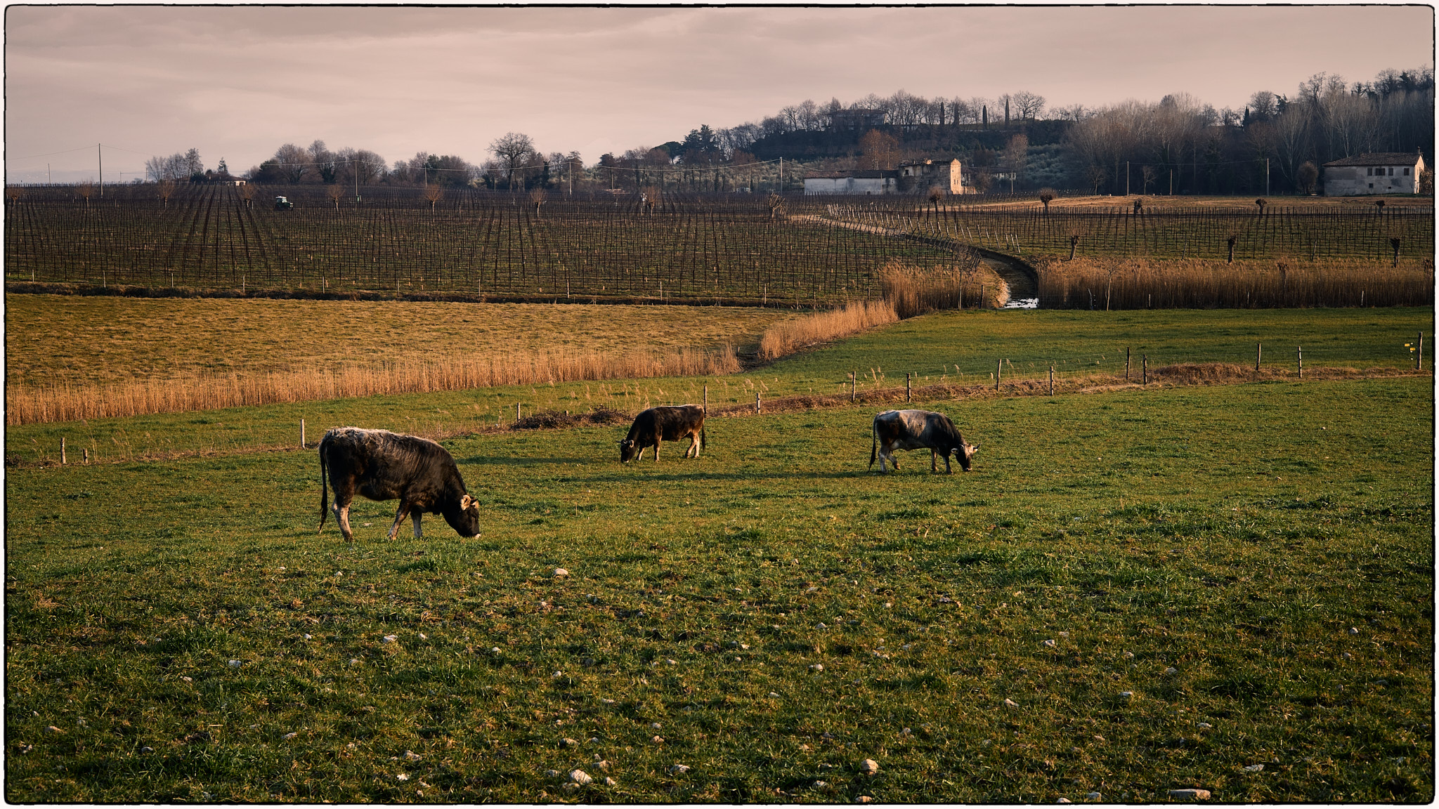 last lights in Valtenesi