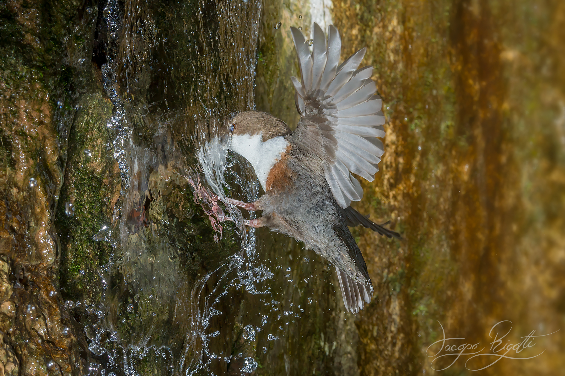 Piercing the waterfall