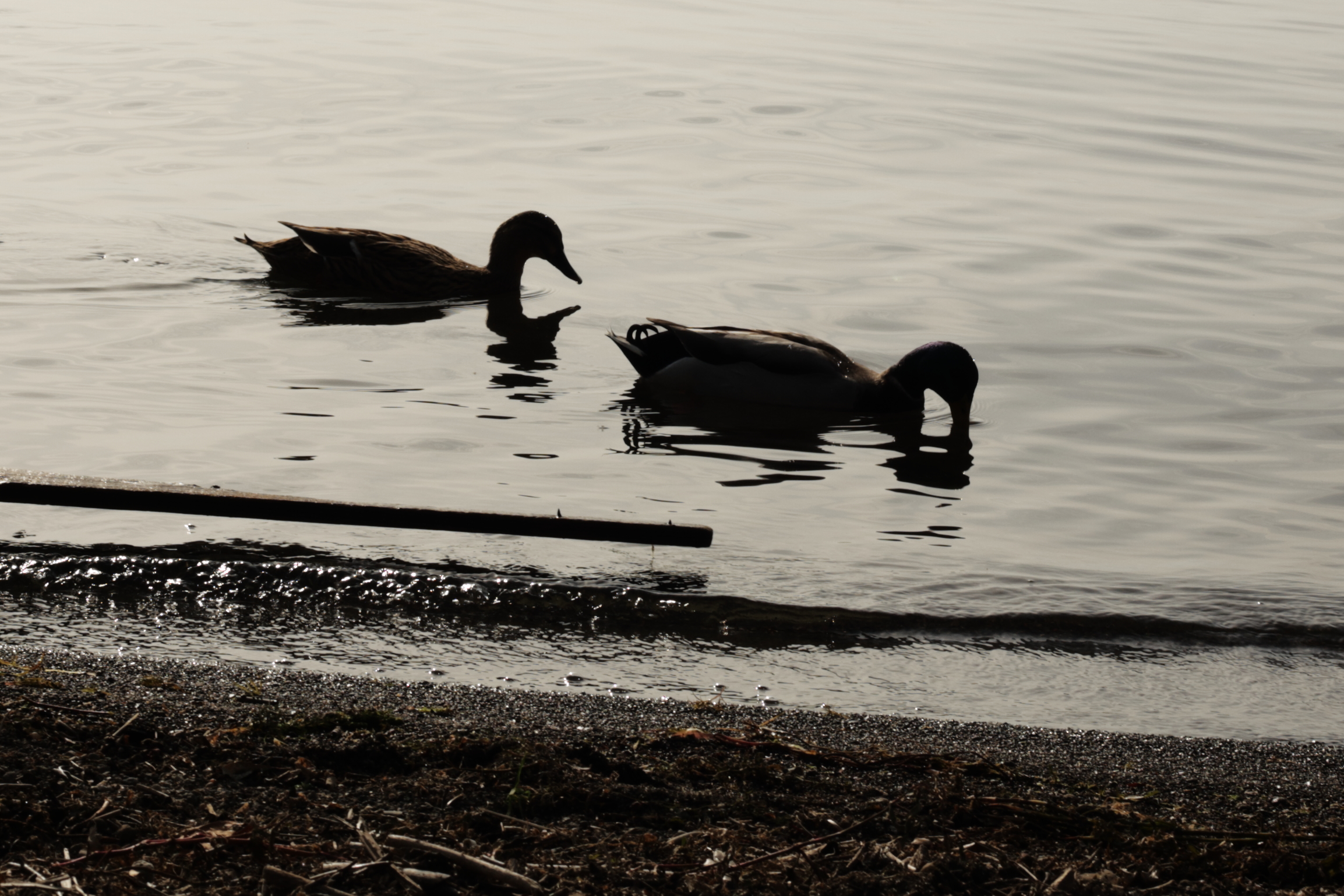 Untitled Photo