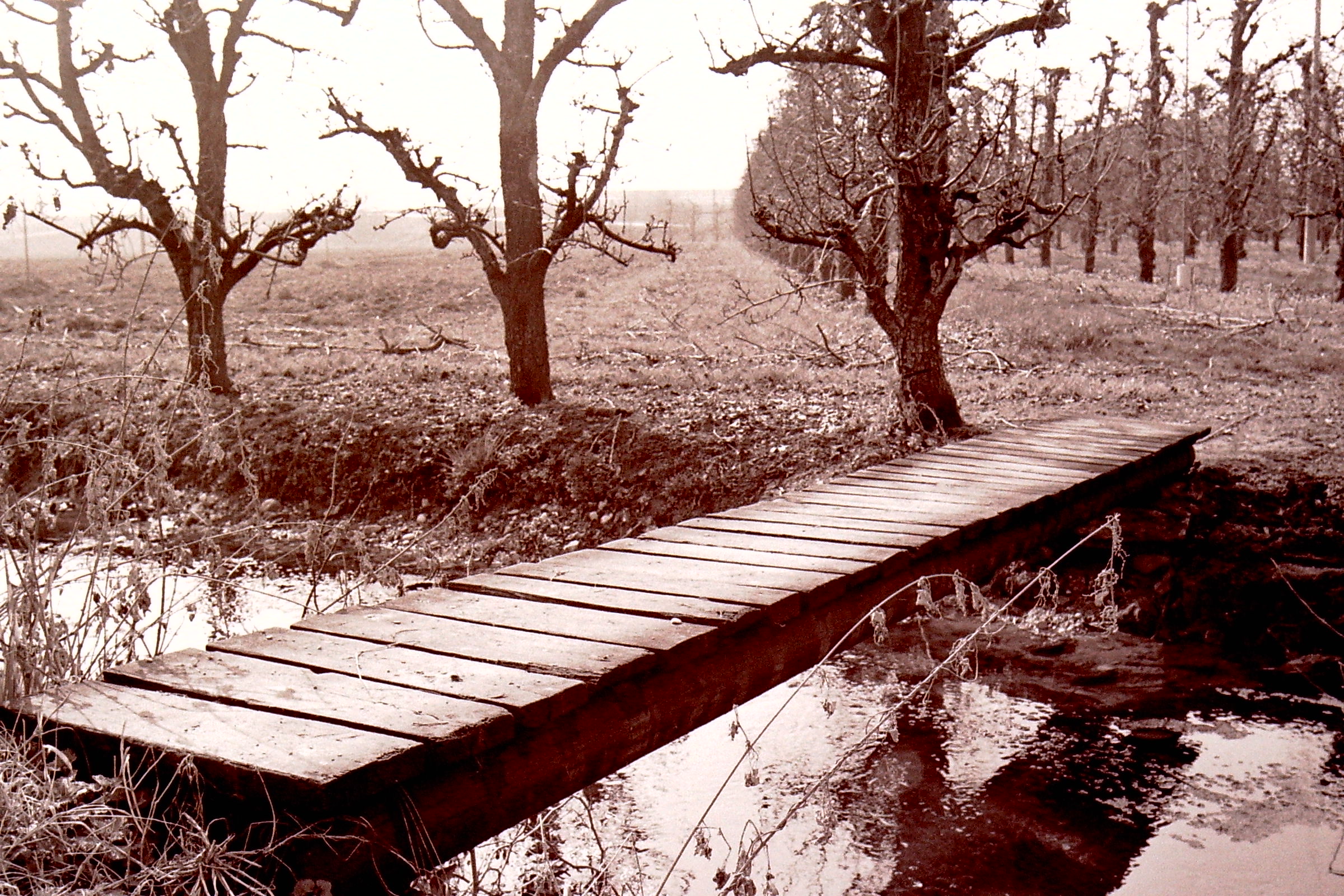 bridge in the countryside