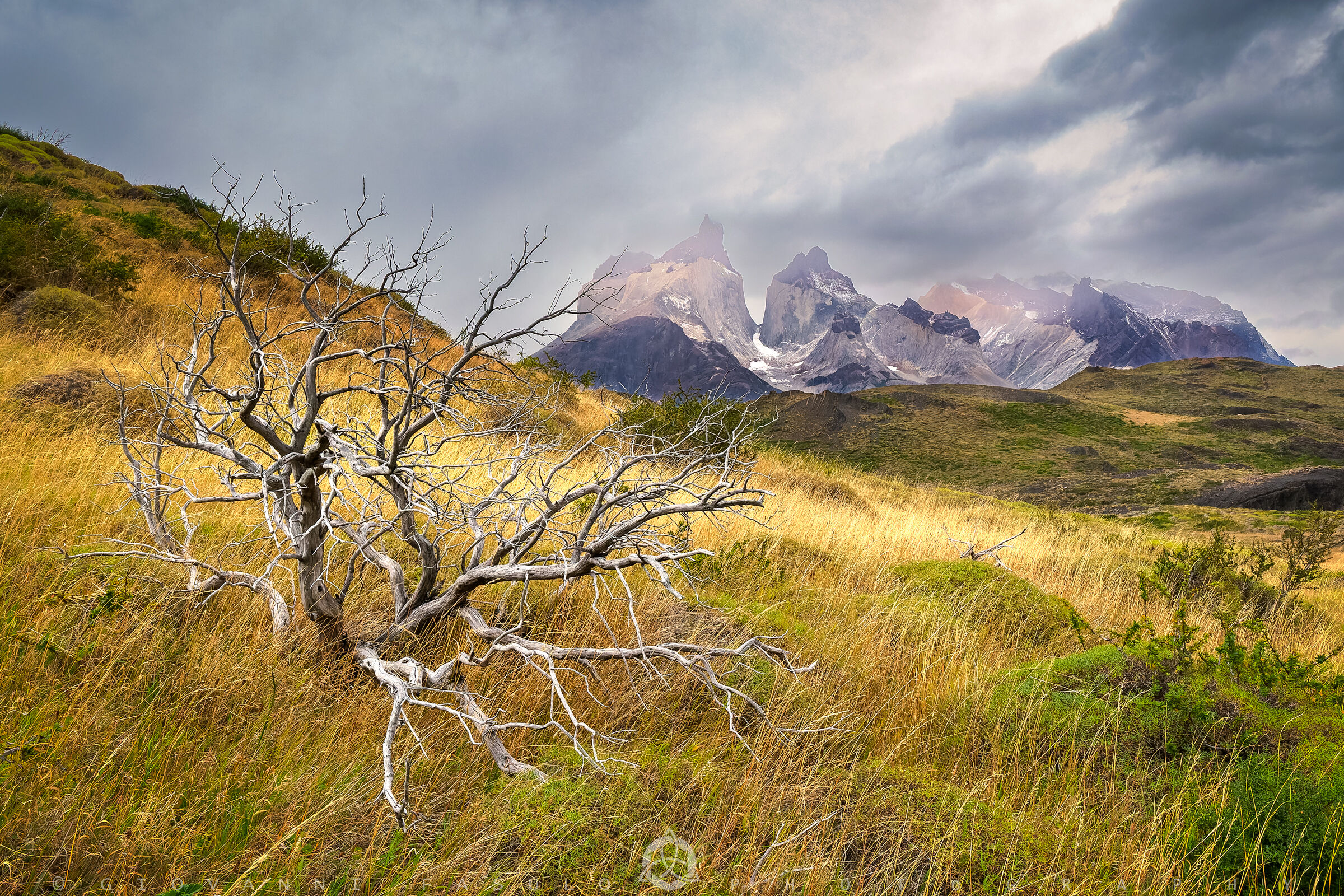 Cerro Torre