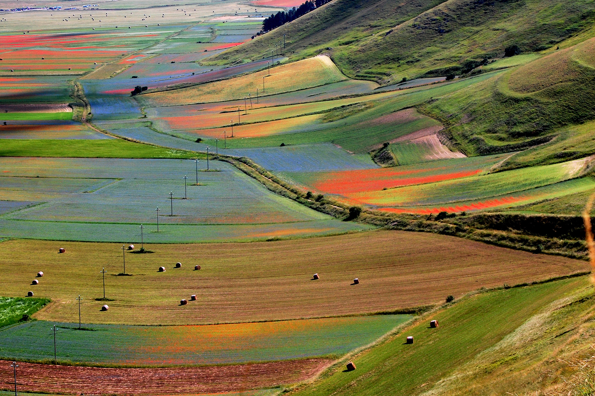 Castelluccio di Norcia: the colors of Pian Grande