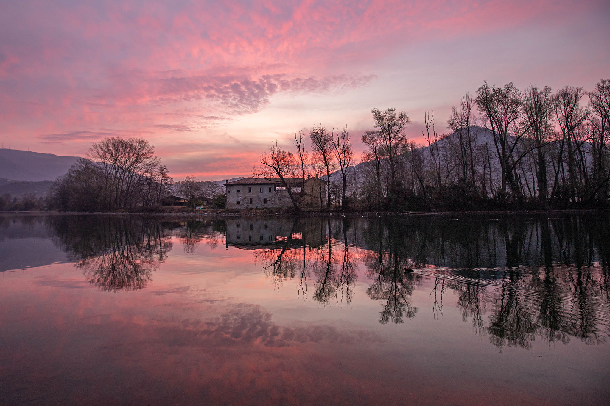 The abandoned farmhouse.