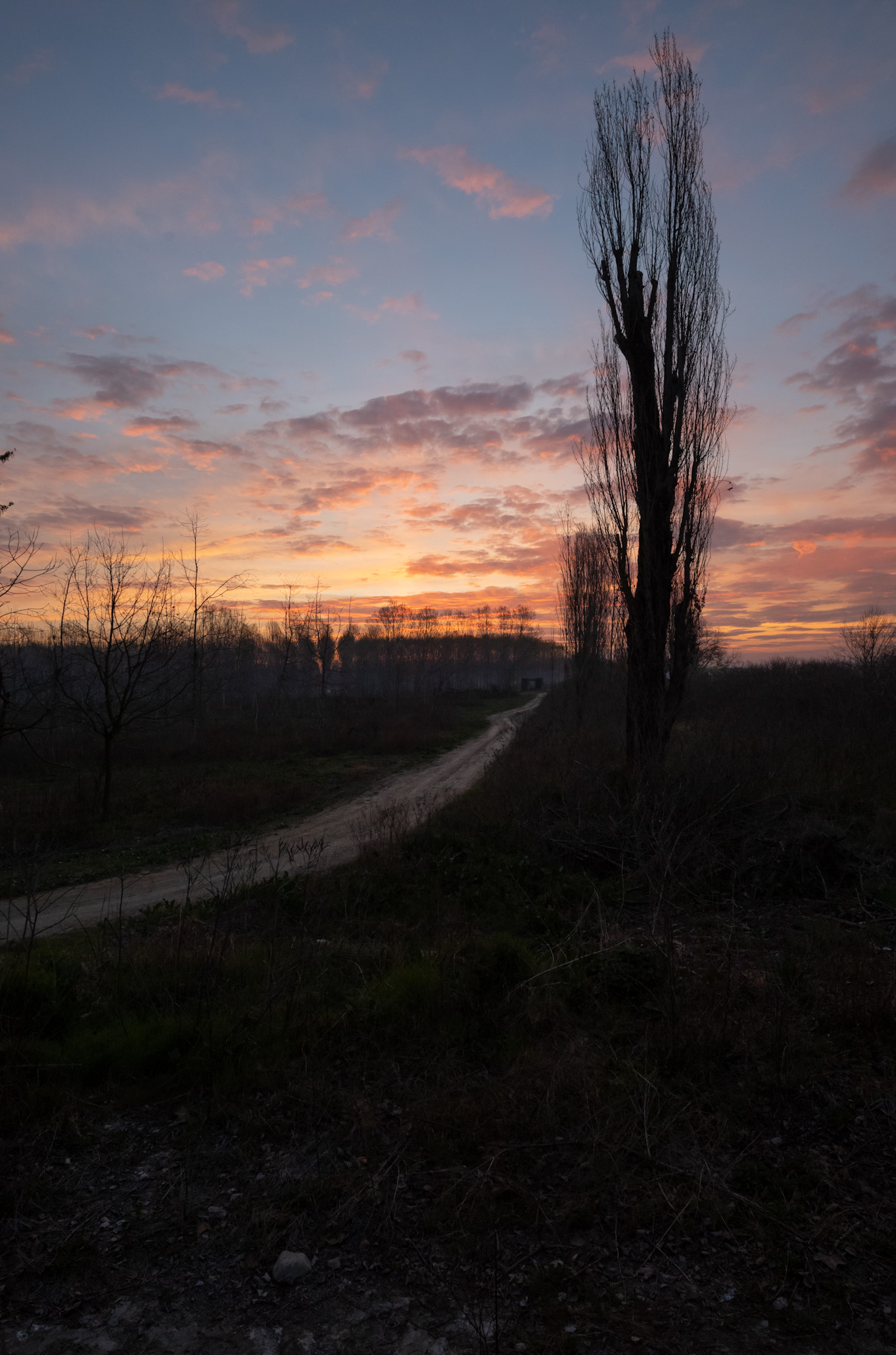 Sunrise in the countryside
