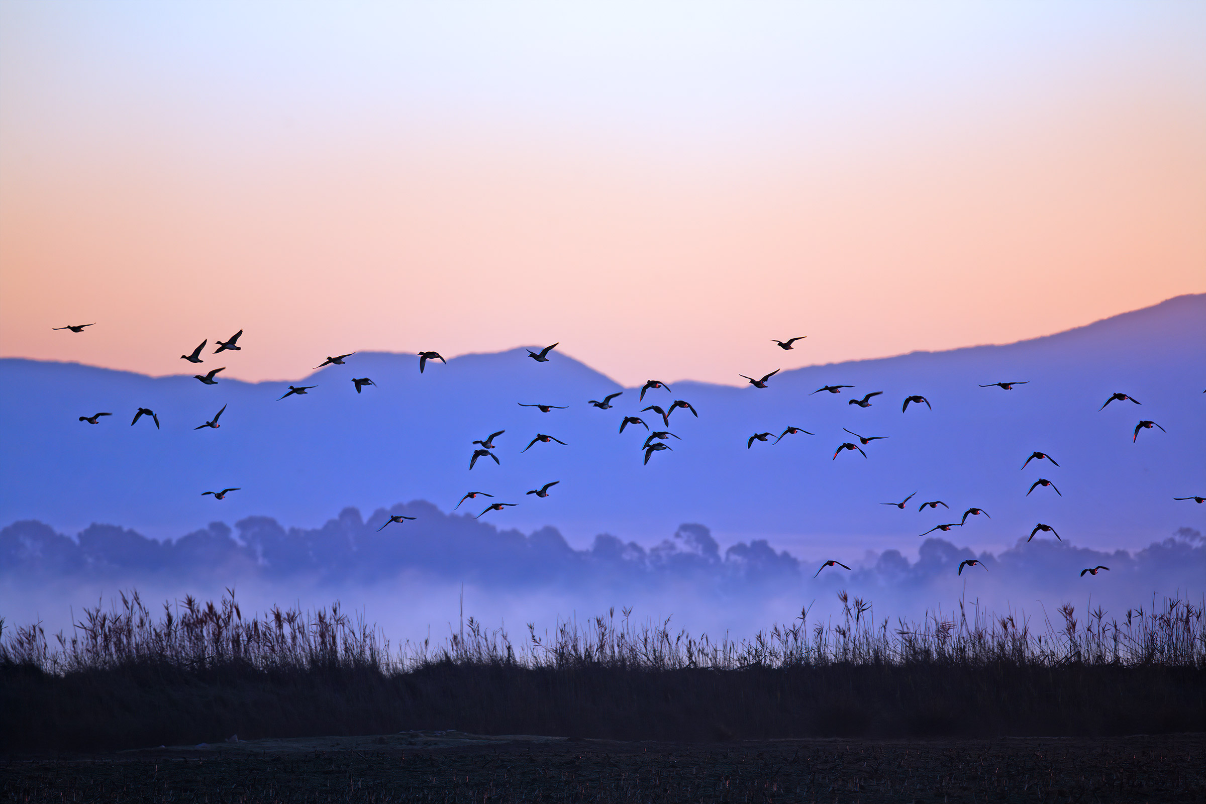 Alba sul Lago di Fogliano