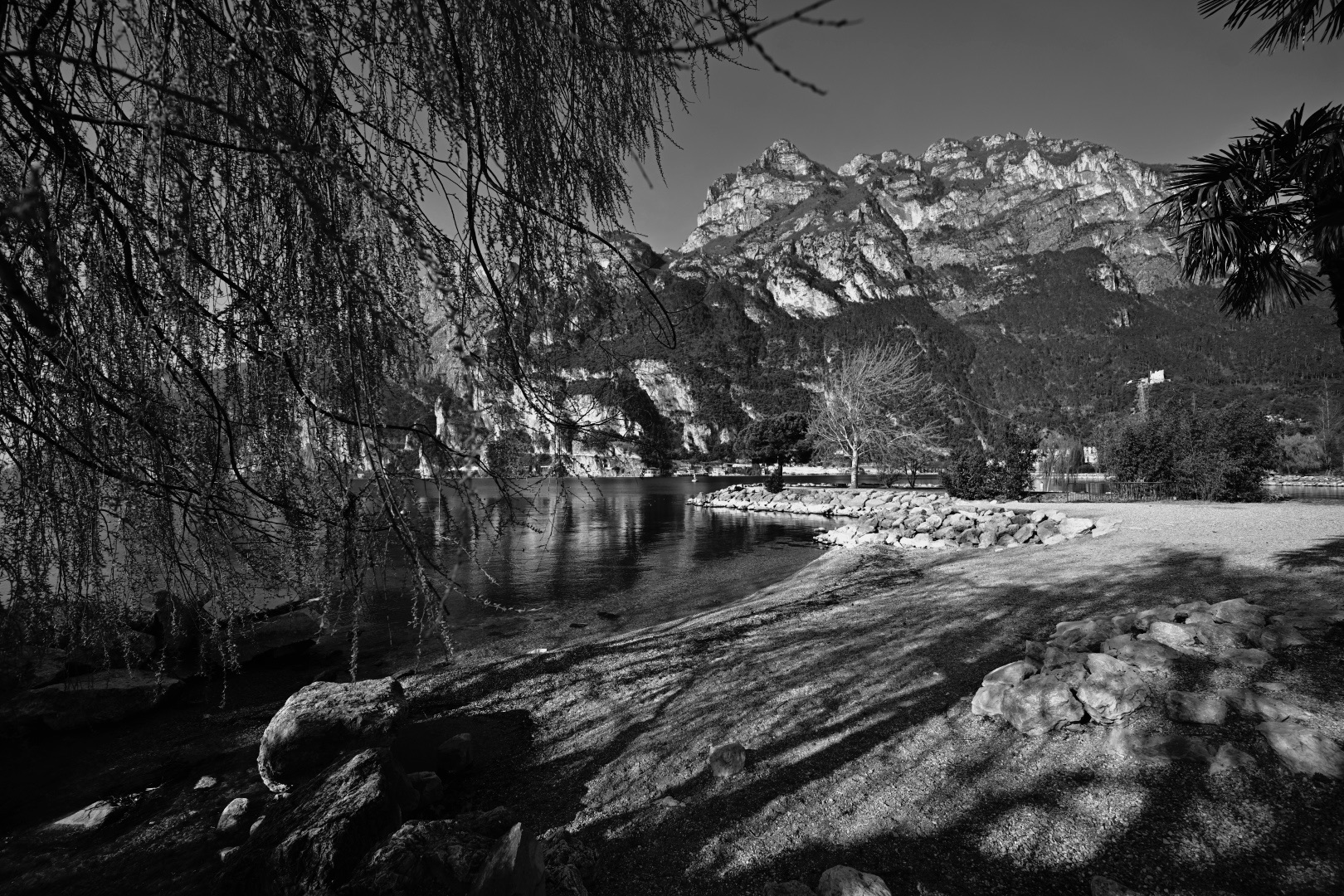 Untitled Photo
