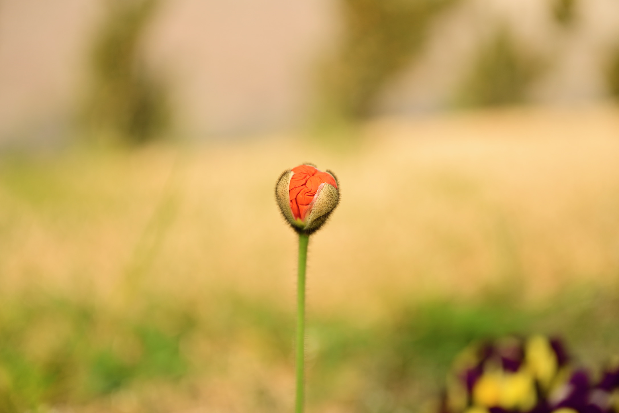 Untitled Photo
