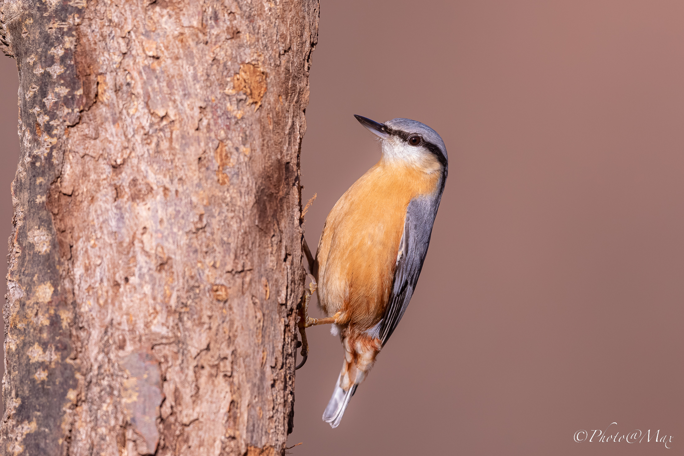 a retired bricklayer