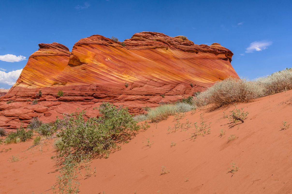 USA - Paria Canyon-Vermilion Cliffs - Utah
